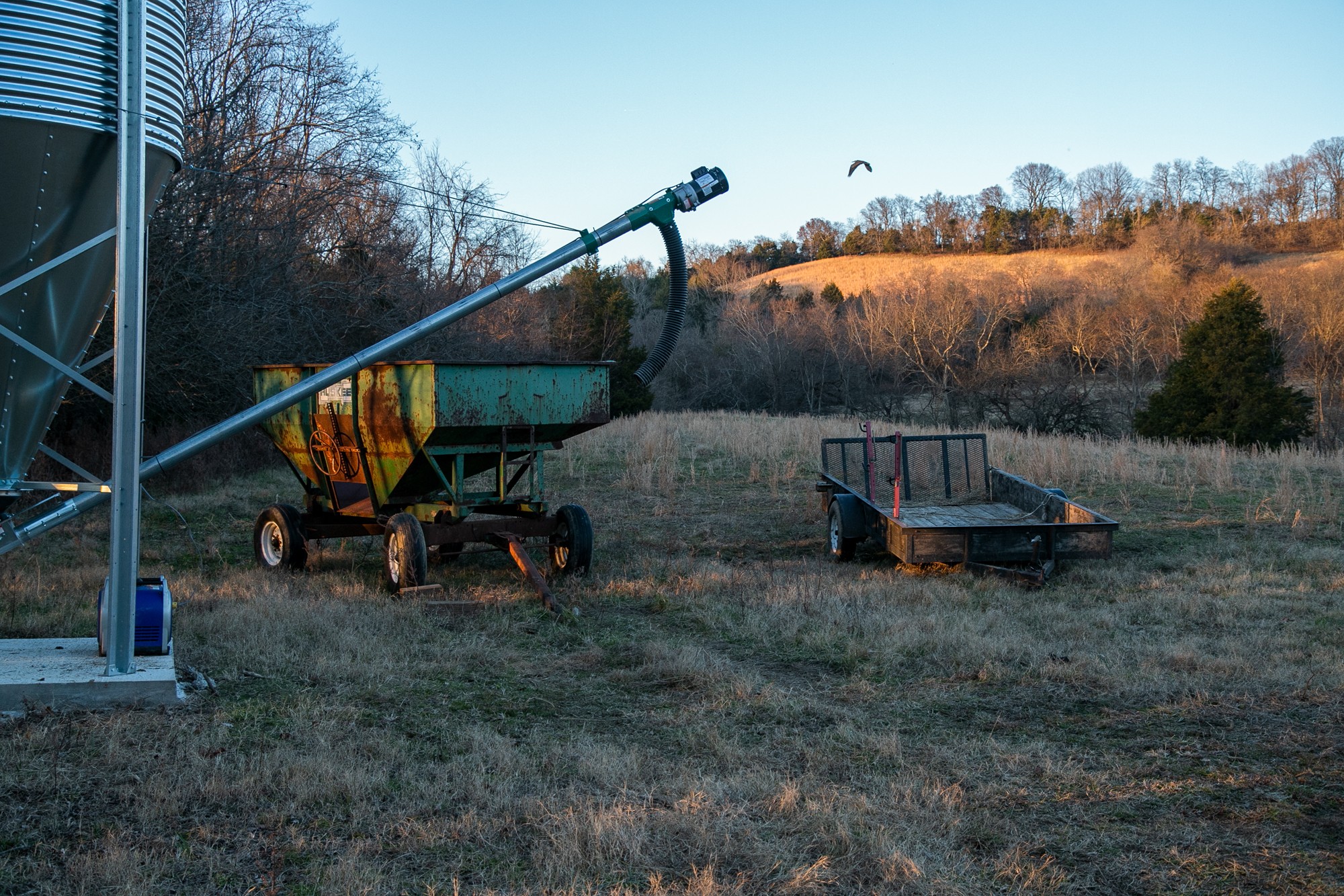 6880 Pulltight Hill Road College Grove, TN 37046 - Photo 20 of 49 a view of a bench in a backyard