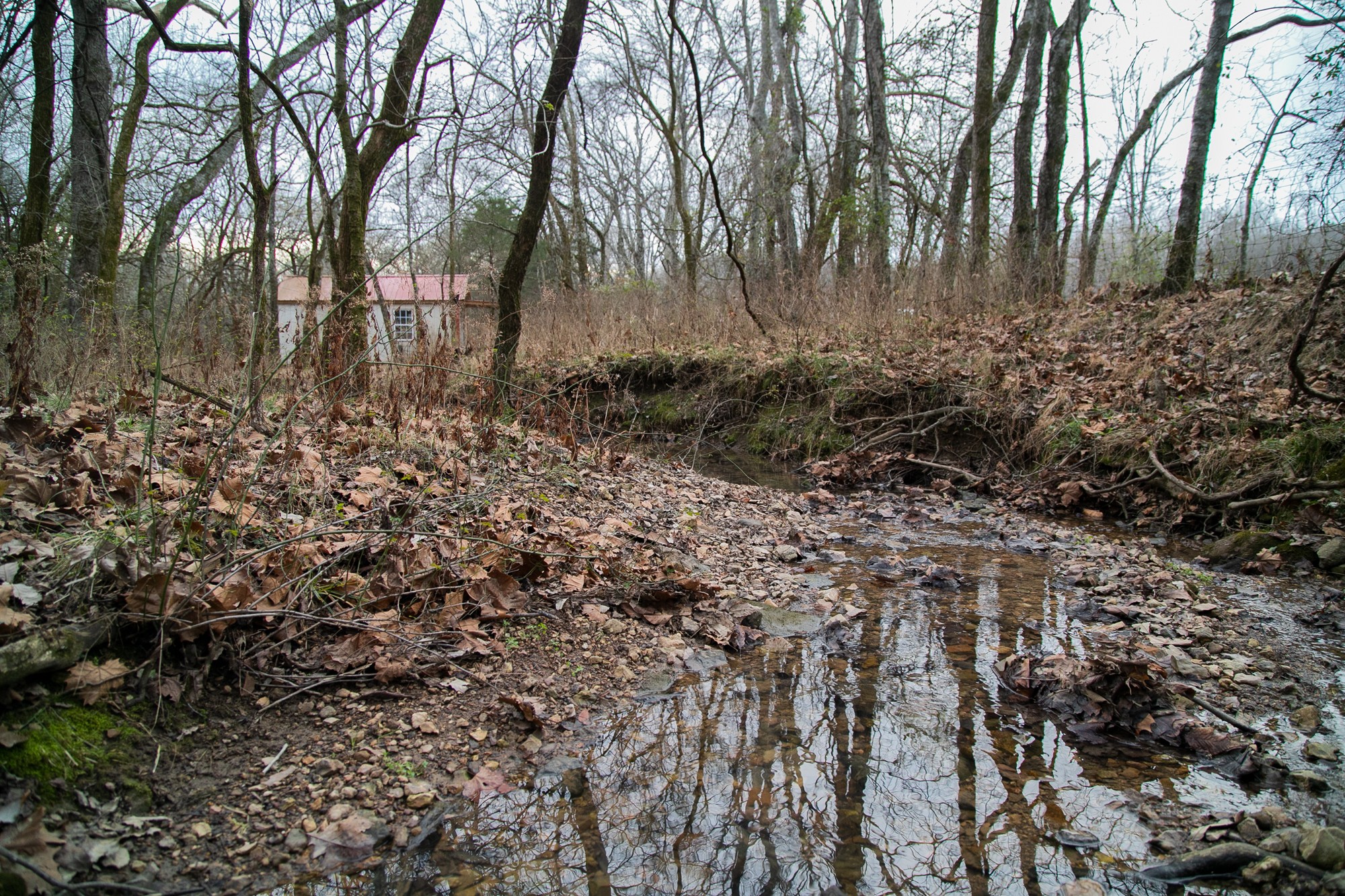 6880 Pulltight Hill Road College Grove, TN 37046 - Photo 3 of 49 a view of backyard of house with green space