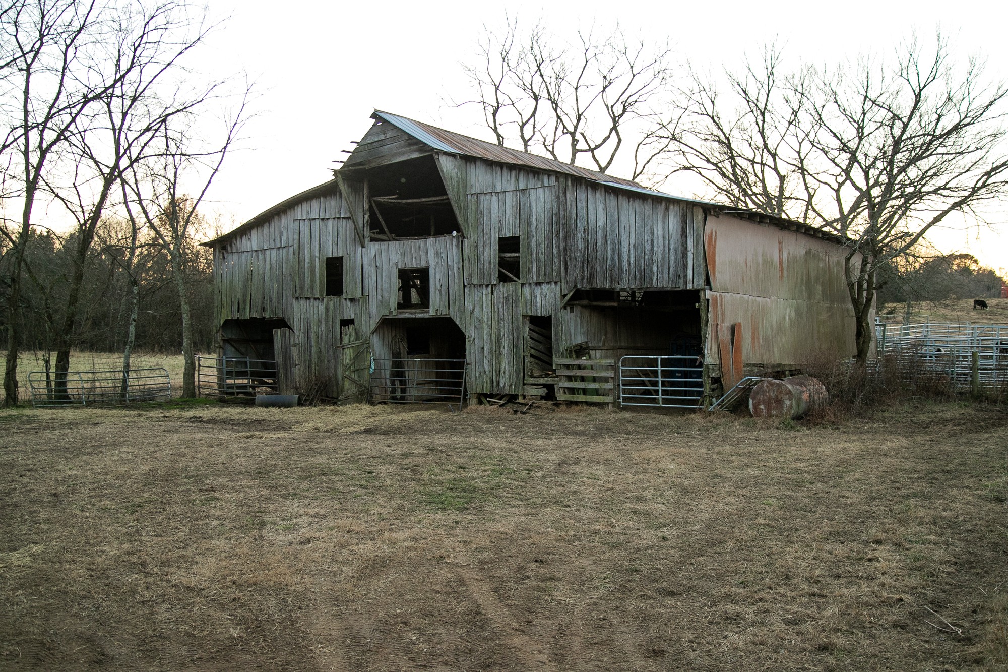 6880 Pulltight Hill Road College Grove, TN 37046 - Photo 22 of 49 a view of a house