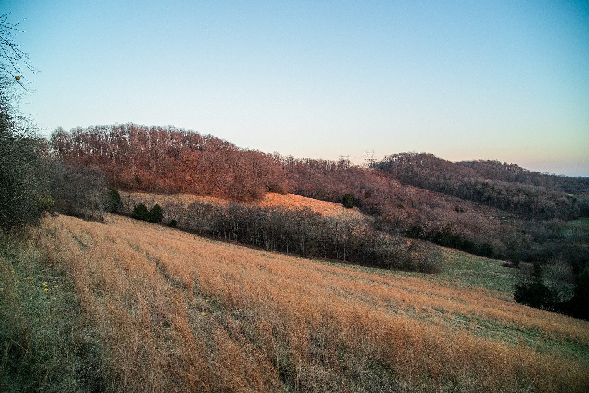 6880 Pulltight Hill Road College Grove, TN 37046 - Photo 24 of 49 a view of a dry yard with mountains in the background