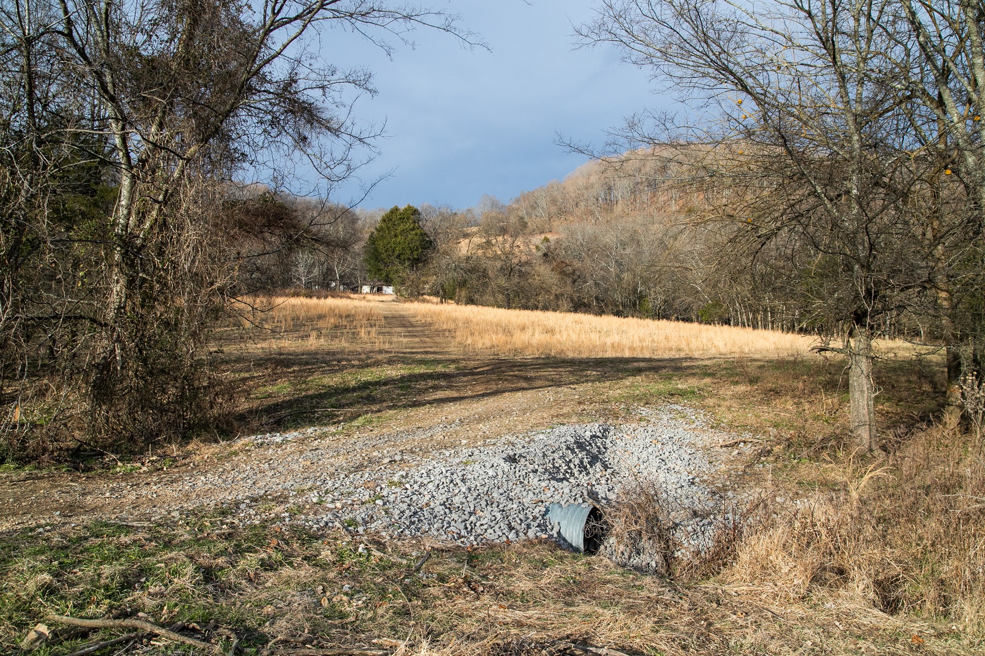 6880 Pulltight Hill Road College Grove, TN 37046 - Photo 27 of 49 a view of ocean view with beach