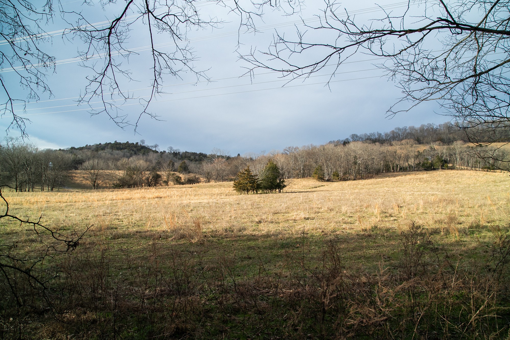 6880 Pulltight Hill Road College Grove, TN 37046 - Photo 29 of 49 a view of lake view and mountain