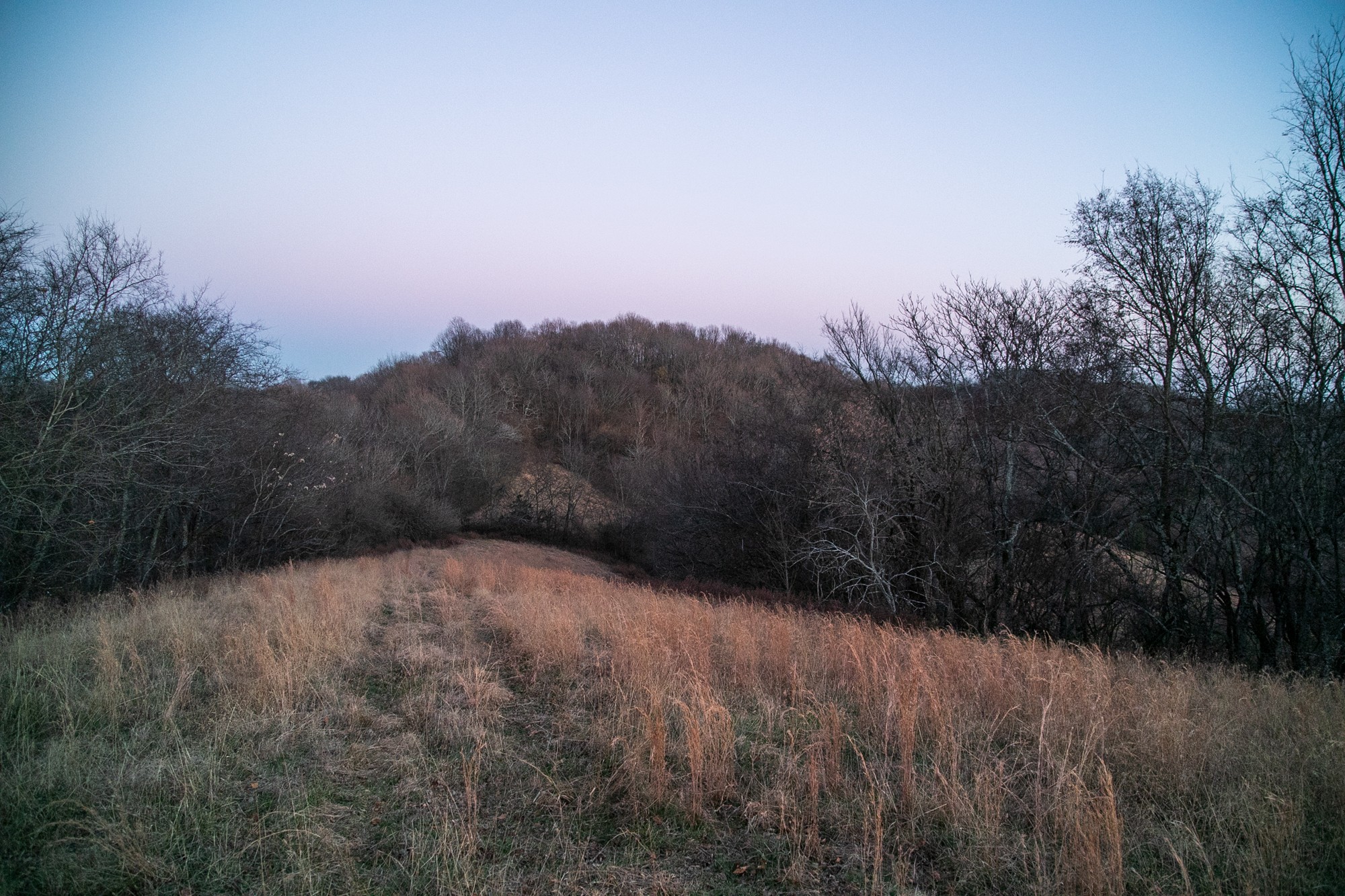 6880 Pulltight Hill Road College Grove, TN 37046 - Photo 30 of 49 a view of a dry yard