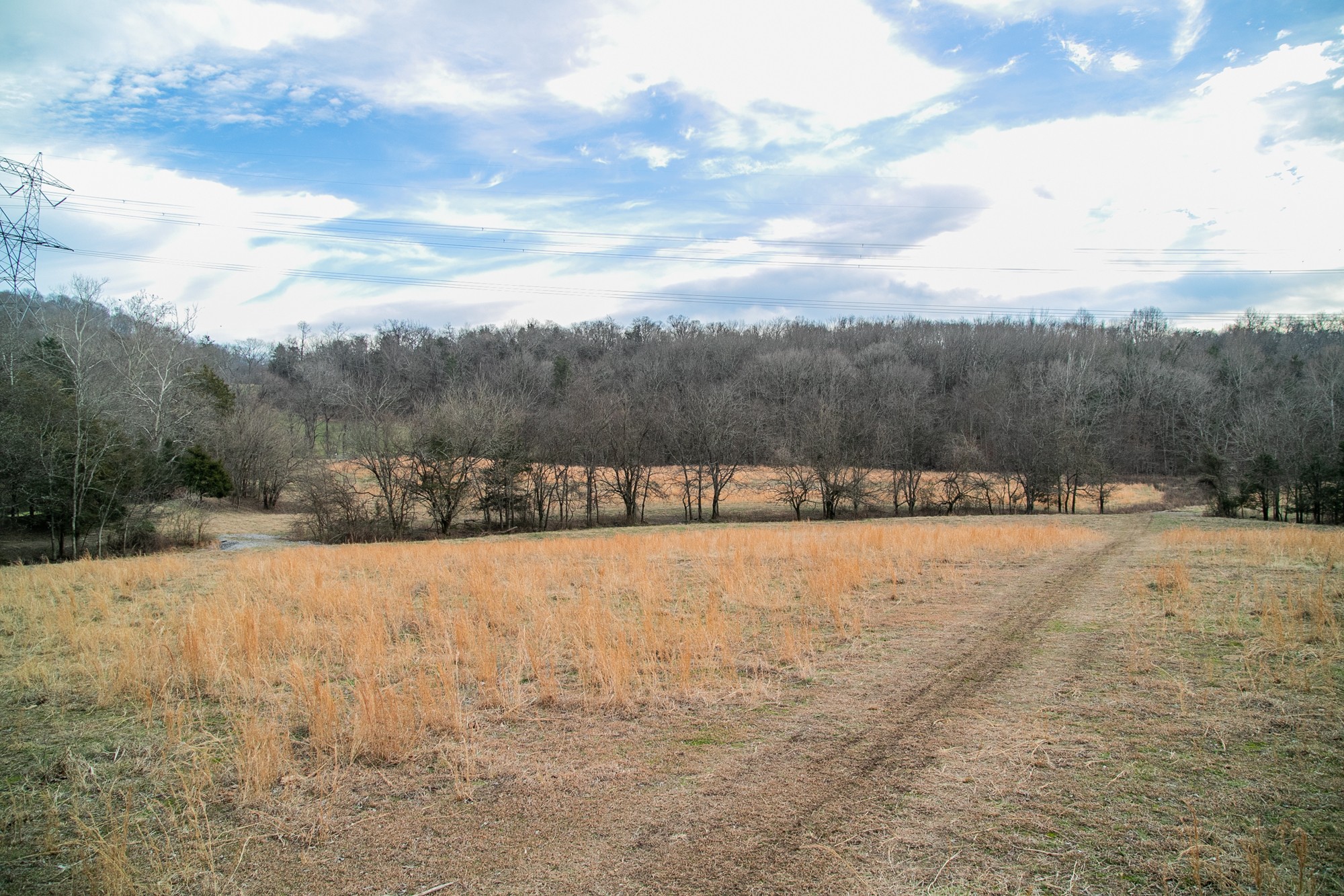 6880 Pulltight Hill Road College Grove, TN 37046 - Photo 40 of 49 a view of lot of trees and houses in the yard