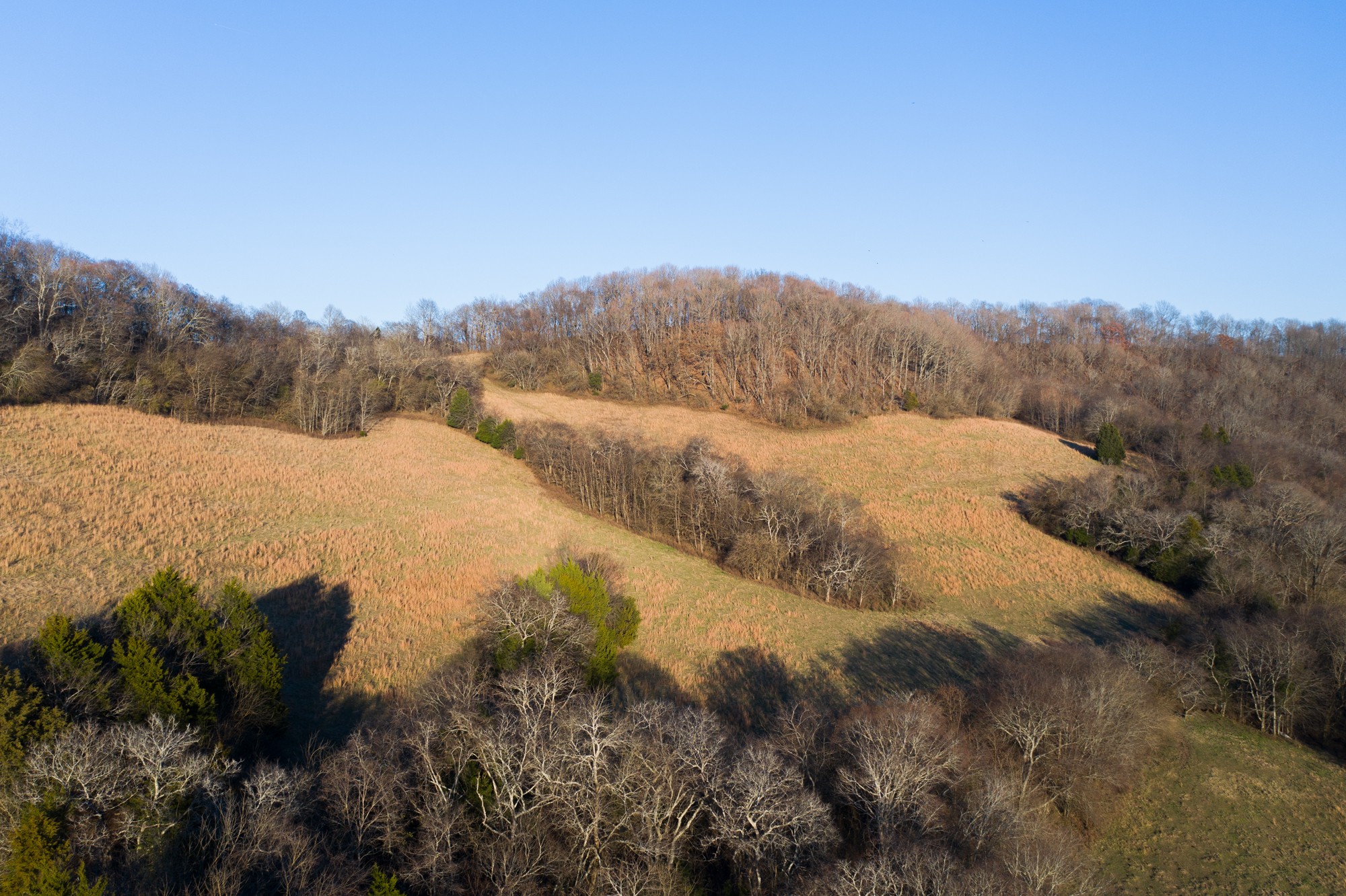6880 Pulltight Hill Road College Grove, TN 37046 - Photo 5 of 49 a view of lake view and mountain view