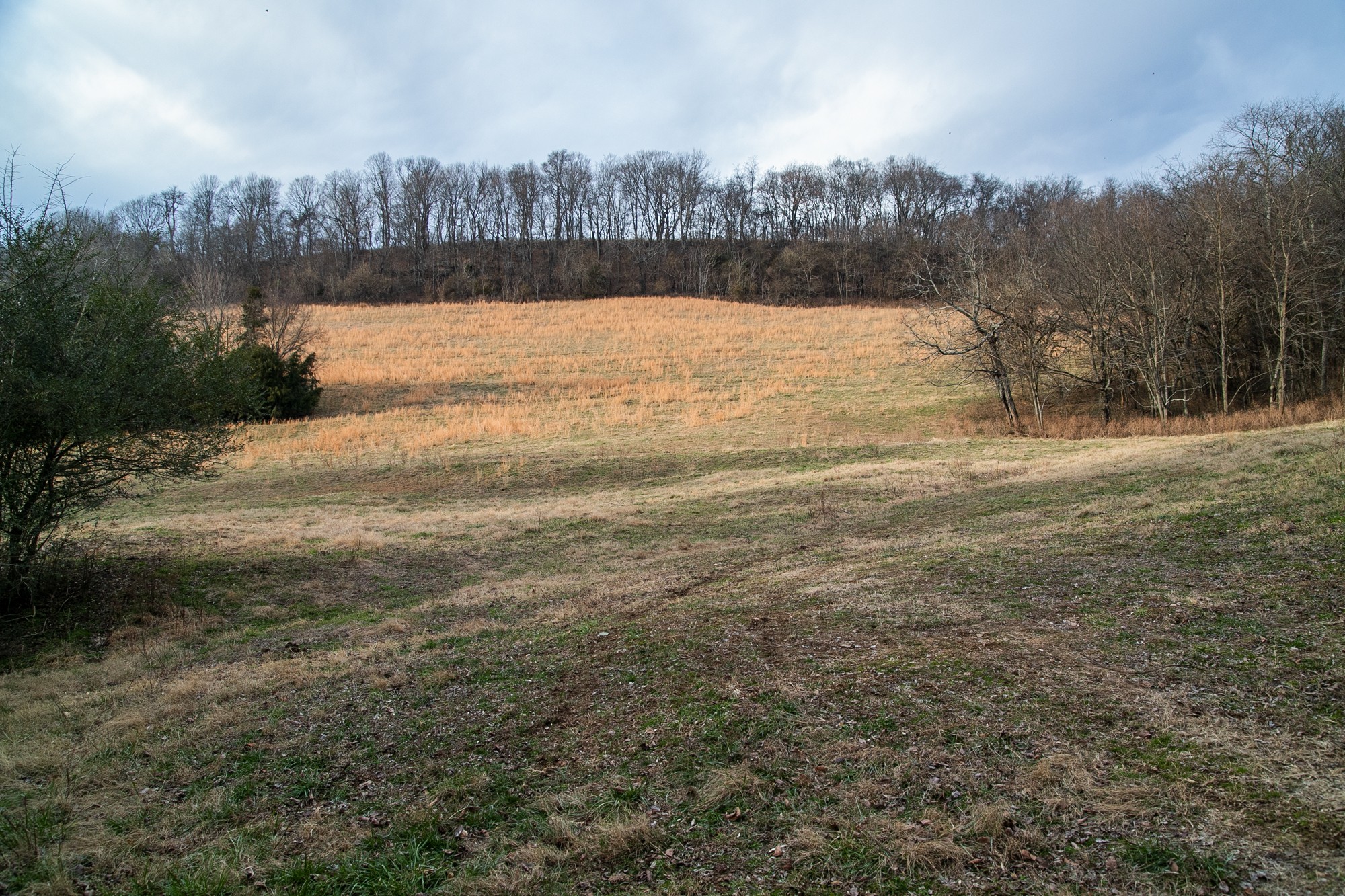 6880 Pulltight Hill Road College Grove, TN 37046 - Photo 41 of 49 a view of lake