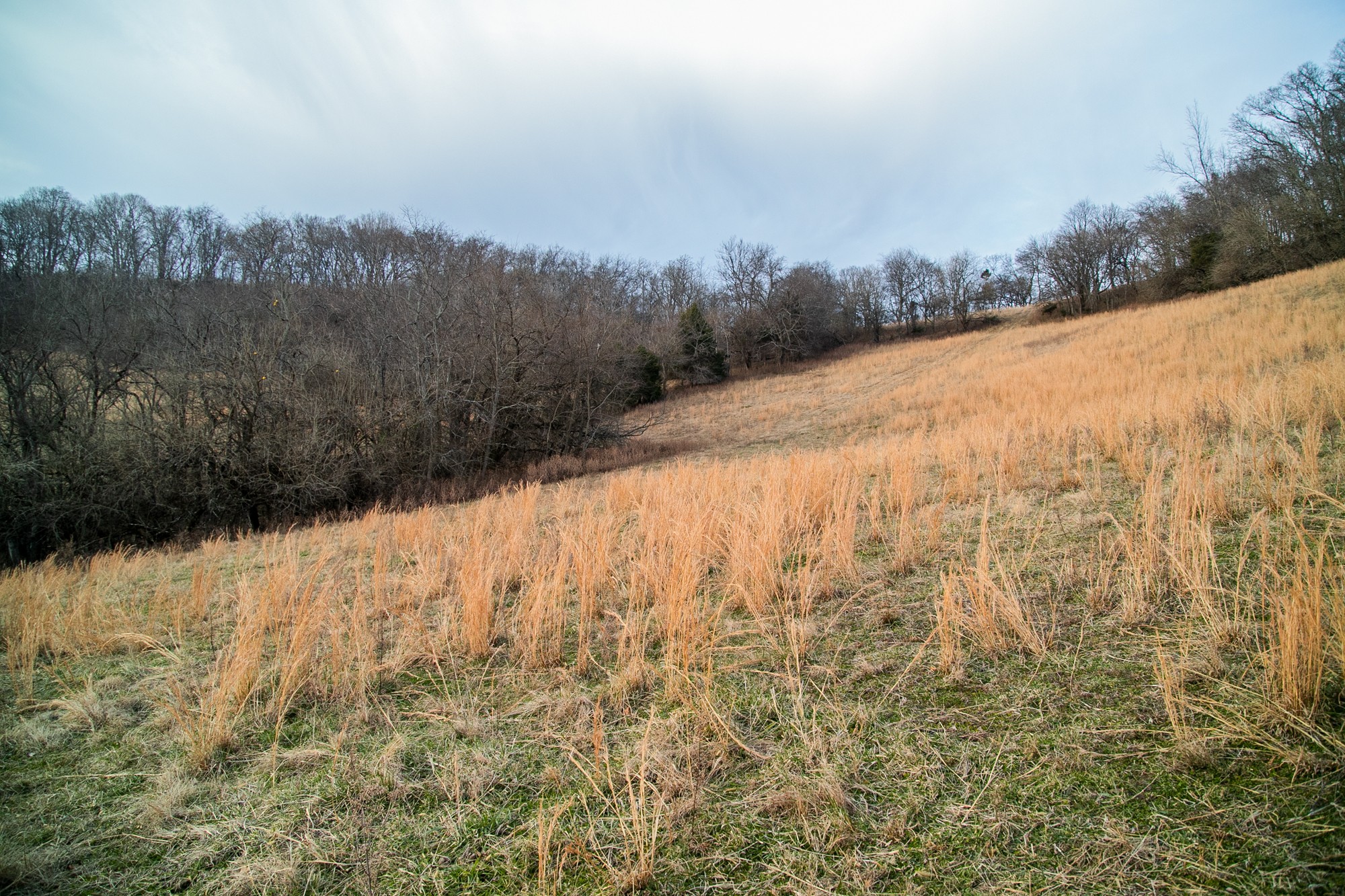 6880 Pulltight Hill Road College Grove, TN 37046 - Photo 45 of 49 a view of a yard with a mountain