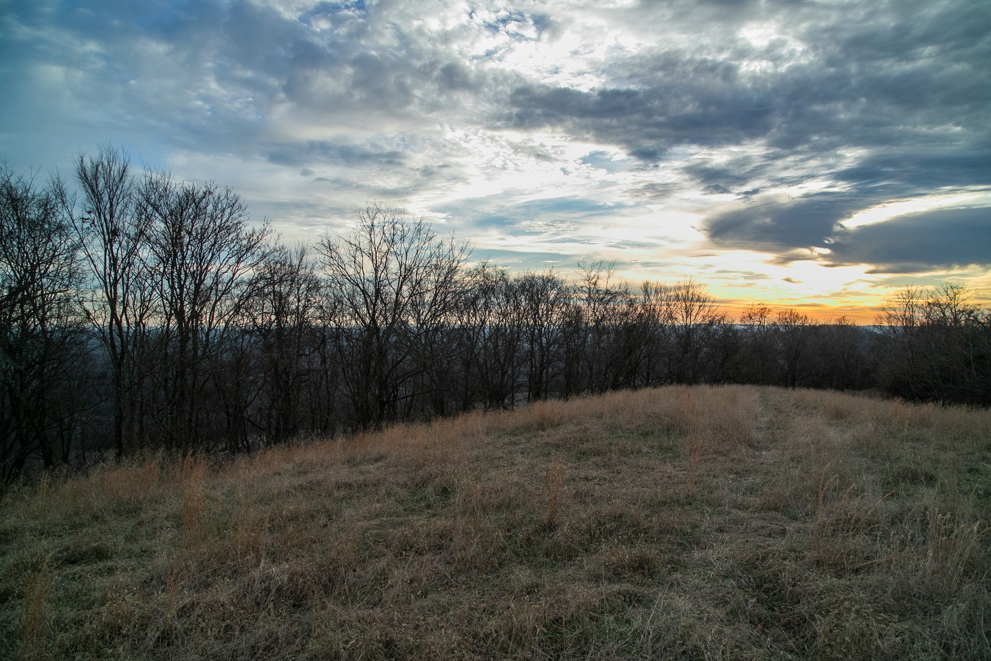 6880 Pulltight Hill Road College Grove, TN 37046 - Photo 49 of 49 a view of outdoor space and yard
