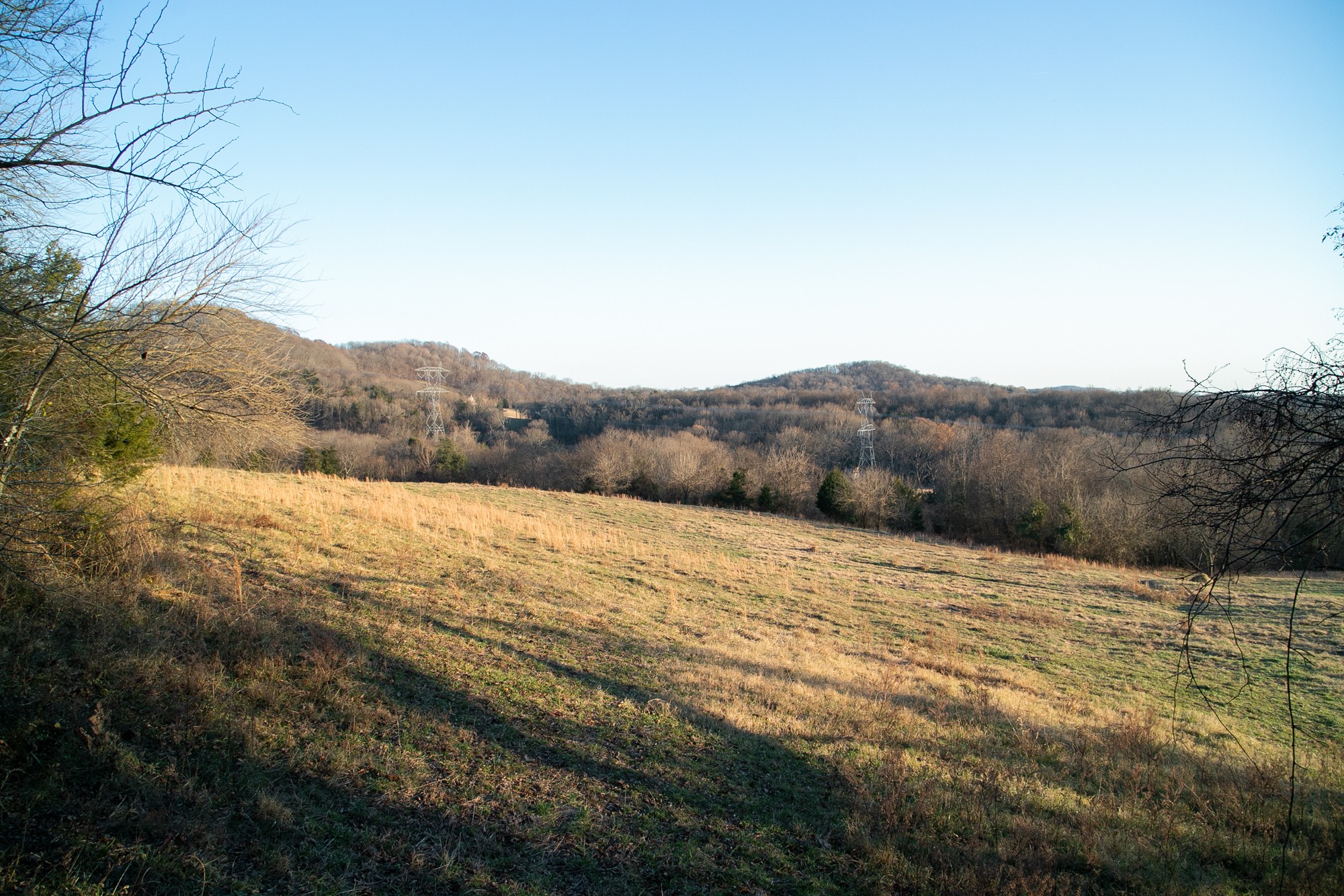 6880 Pulltight Hill Road College Grove, TN 37046 - Photo 6 of 49 a view of mountain and tree