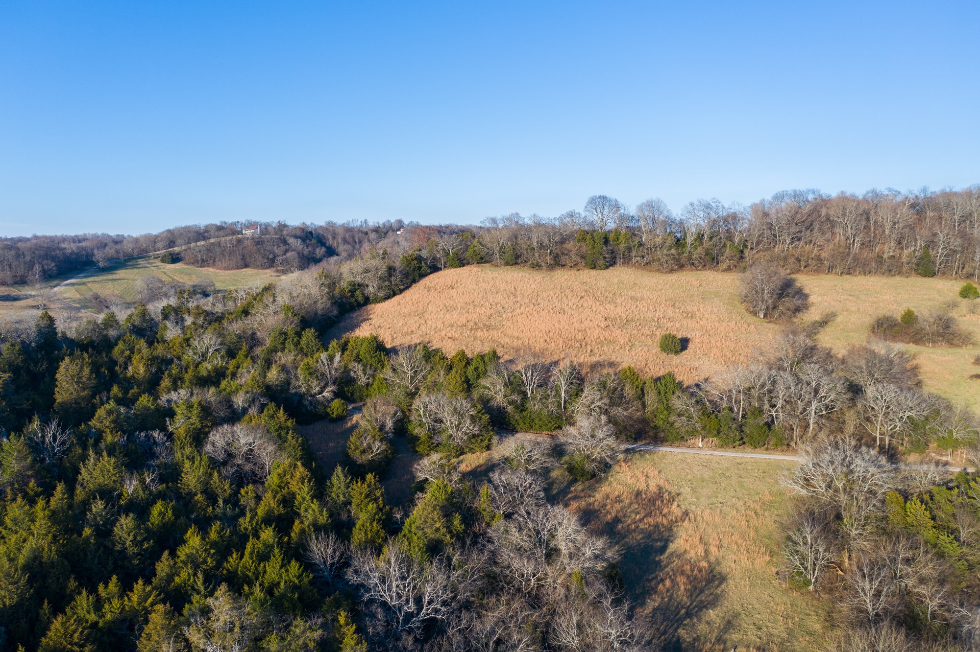 6880 Pulltight Hill Road College Grove, TN 37046 - Photo 7 of 49 a view of a lake with a city