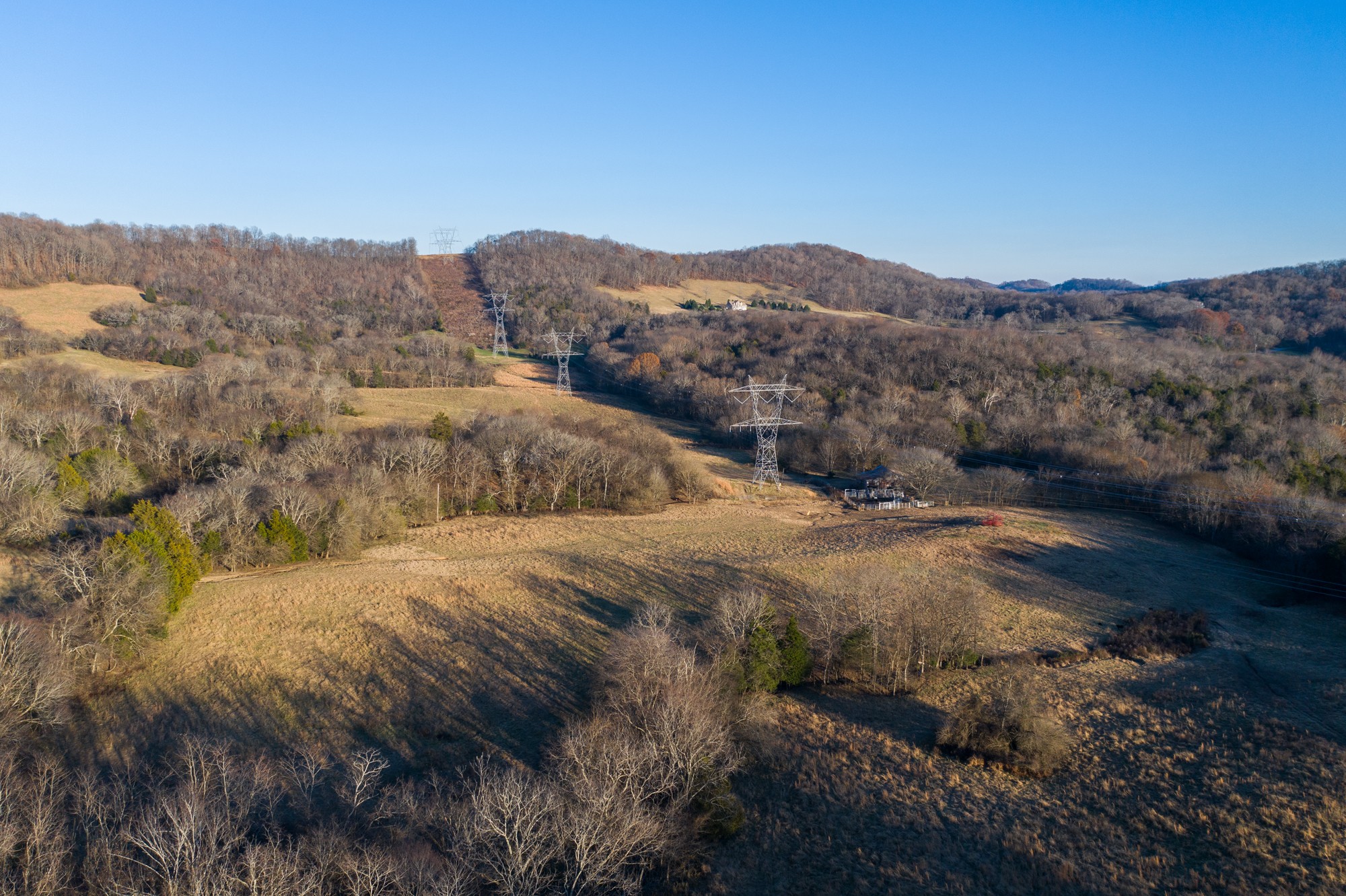 6880 Pulltight Hill Road College Grove, TN 37046 - Photo 8 of 49 a view of a dry yard with mountains in the background