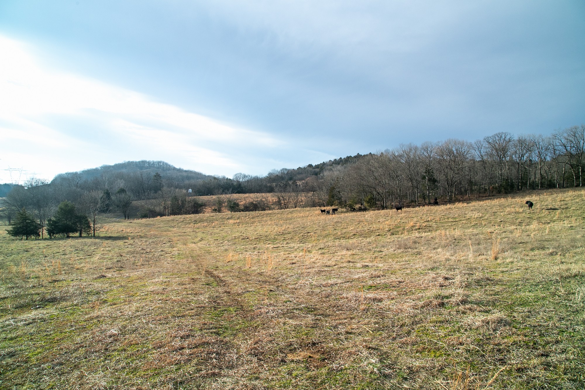6880 Pulltight Hill Road College Grove, TN 37046 - Photo 10 of 49 a view of lake view and mountain