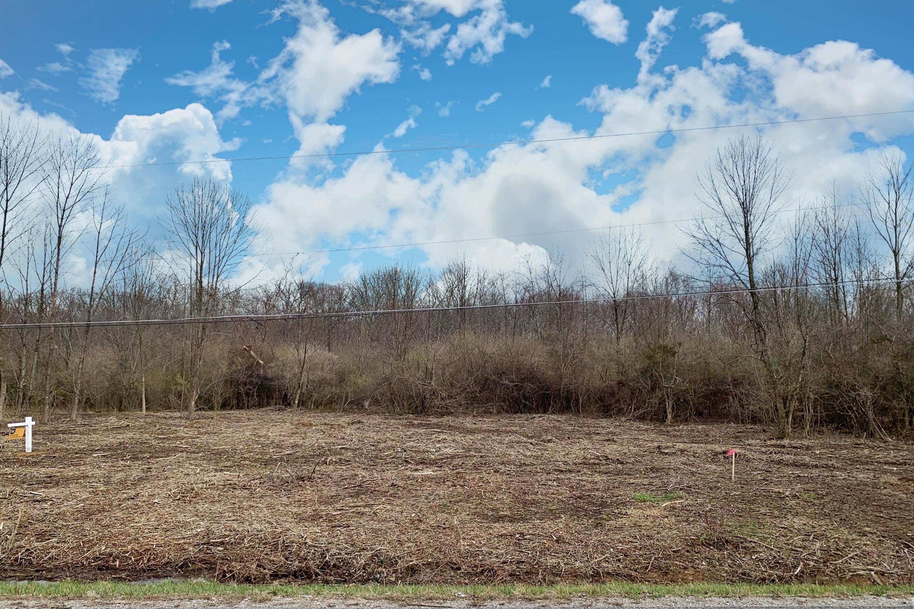 5563 Red Bank Road, Unit TRACT C Galena, OH 43021 - Photo 5 of 32 5.-North-View-of-Lot