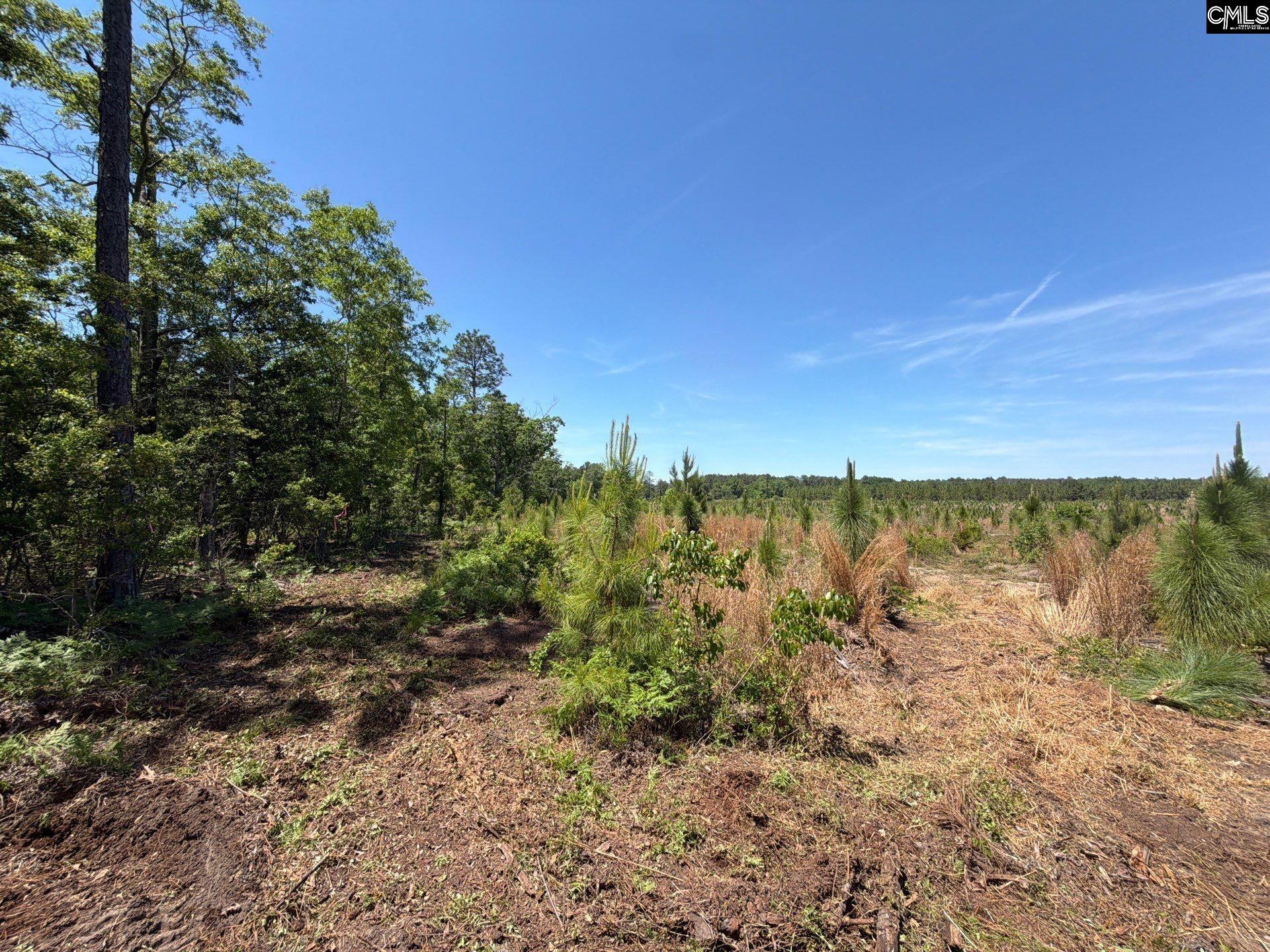 1 Holstein Road Monetta, SC 29105 - Photo 36 of 36