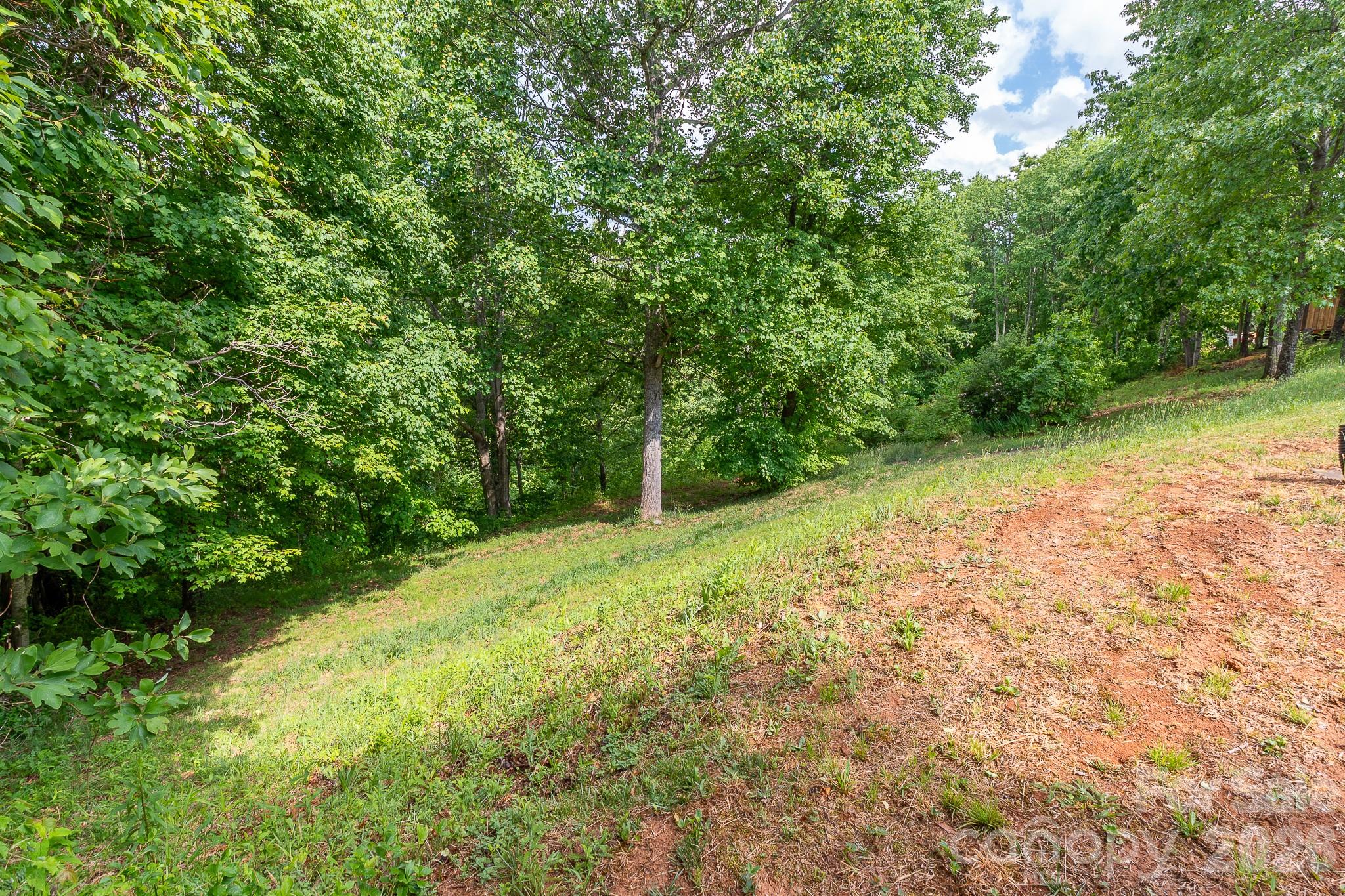 451 Rustic Ridge Drive Canton, NC 28716 - Photo 35 of 44 a view of a yard with a trees