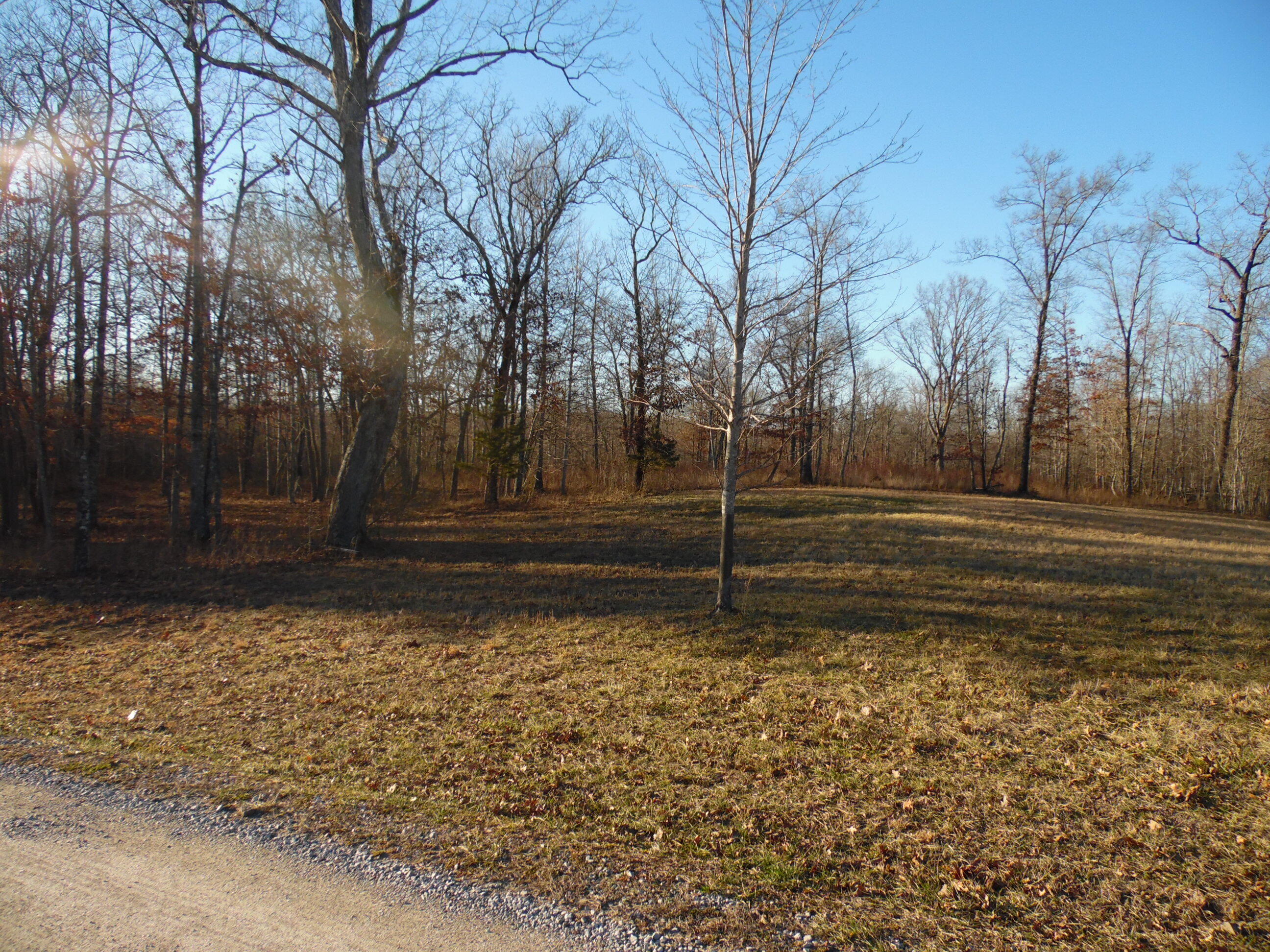 Lot 7 Long Branch Road Spencer, TN 38585 - Photo 1 of 9 SAM_8042