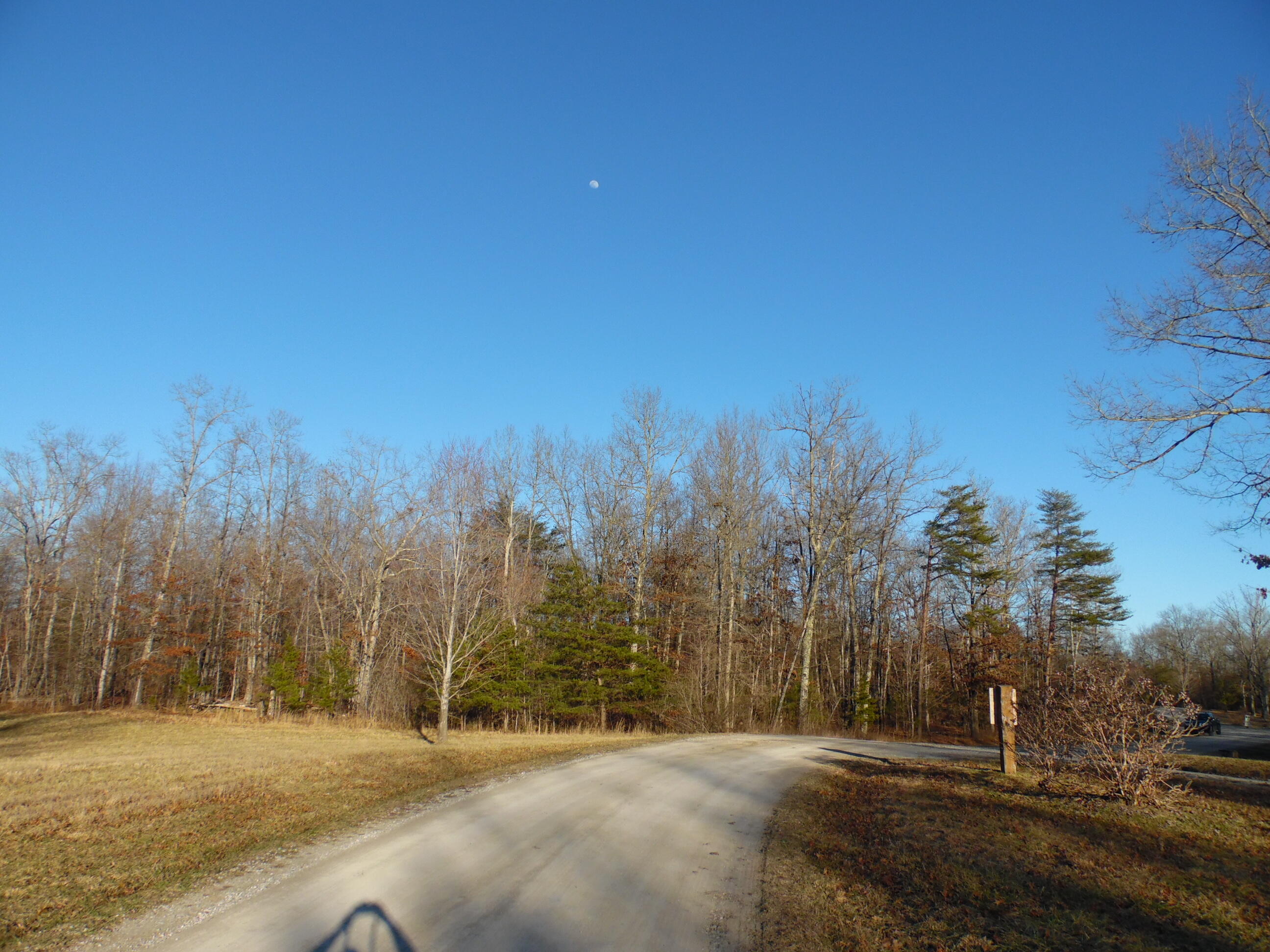 Lot 7 Long Branch Road Spencer, TN 38585 - Photo 4 of 9 SAM_8040