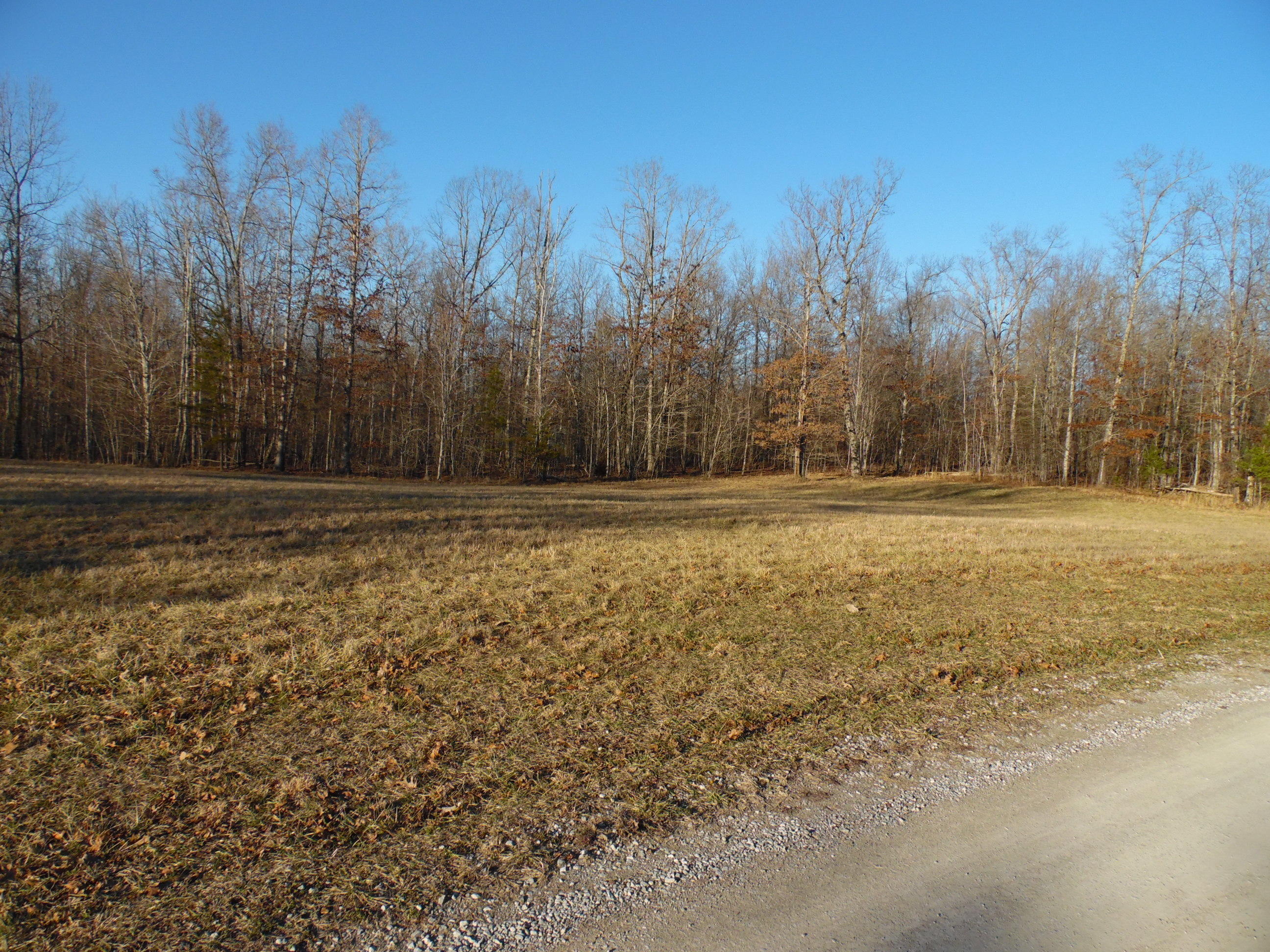 Lot 7 Long Branch Road Spencer, TN 38585 - Photo 5 of 9 SAM_8041