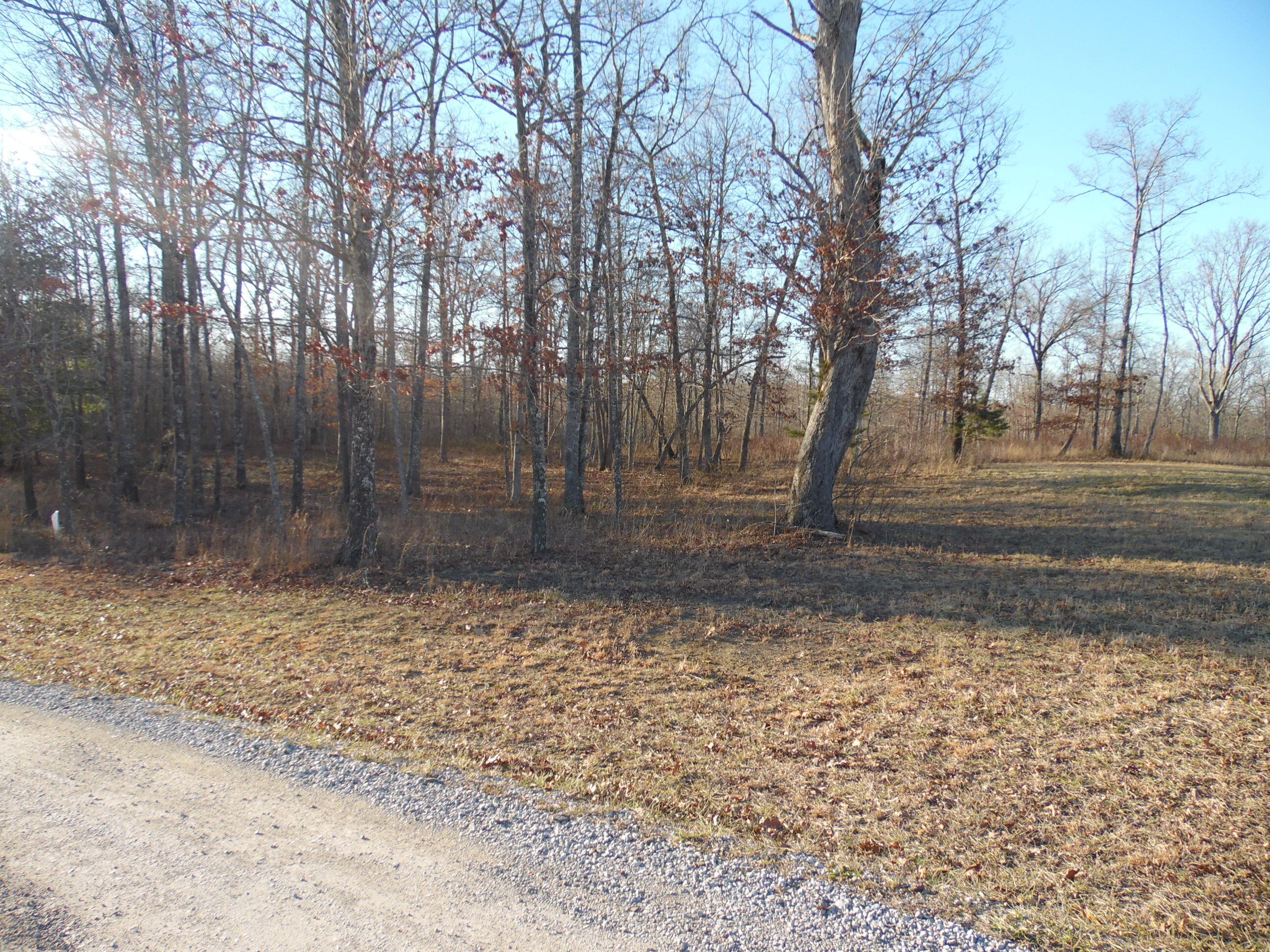 Lot 7 Long Branch Road Spencer, TN 38585 - Photo 6 of 9 SAM_8043