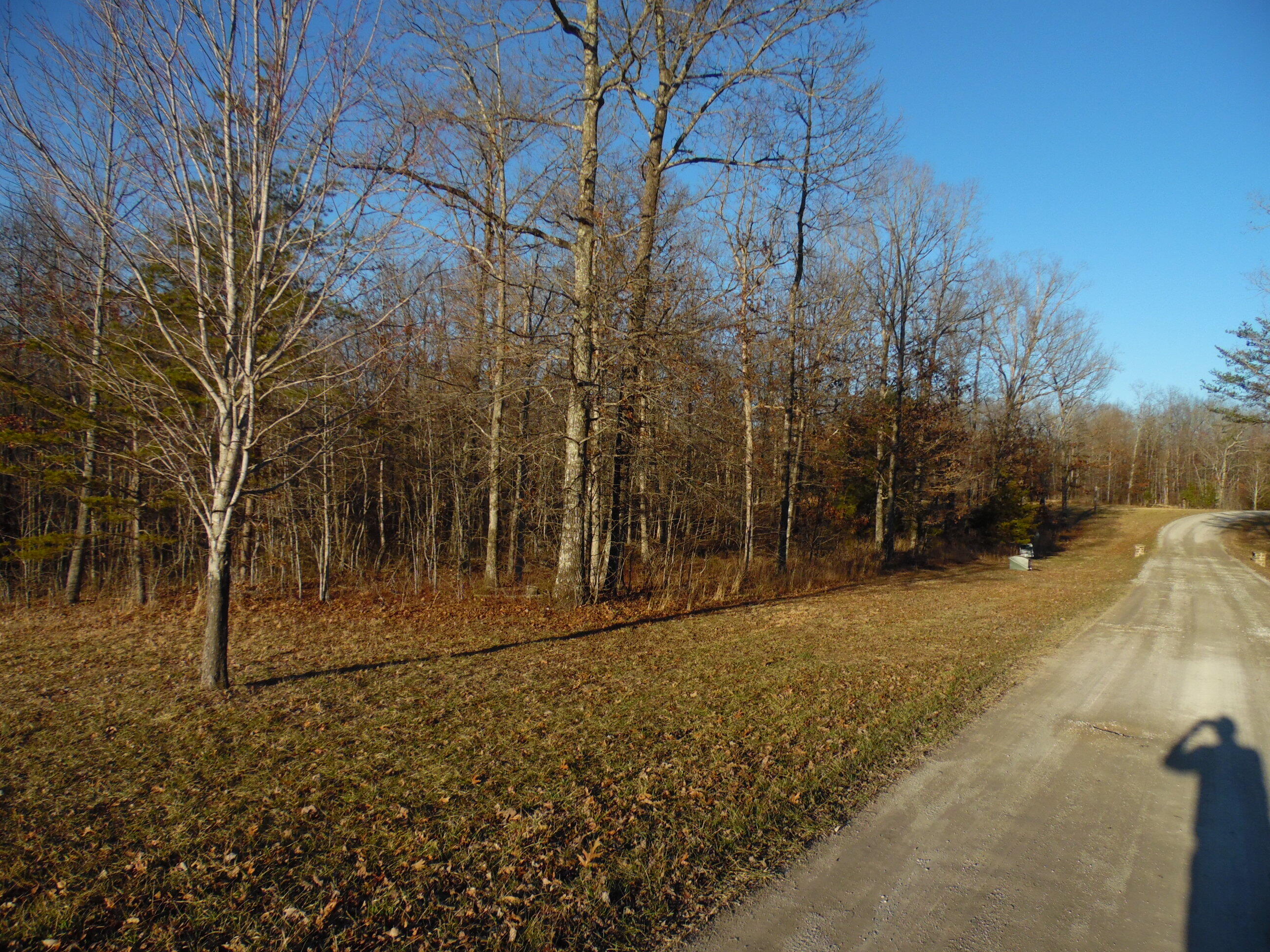 Lot 7 Long Branch Road Spencer, TN 38585 - Photo 8 of 9 SAM_8046