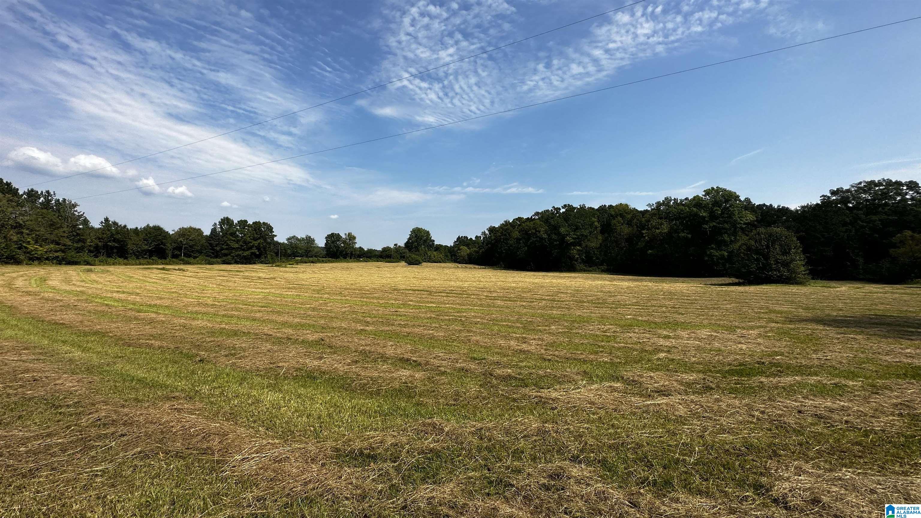 0 Rock School Road Harpersville, AL 35078 - Photo 5 of 15