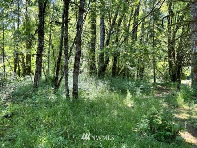 14836 Lewis River Road Ariel, WA 98603 - Photo 12 of 16 Gallery Image 12