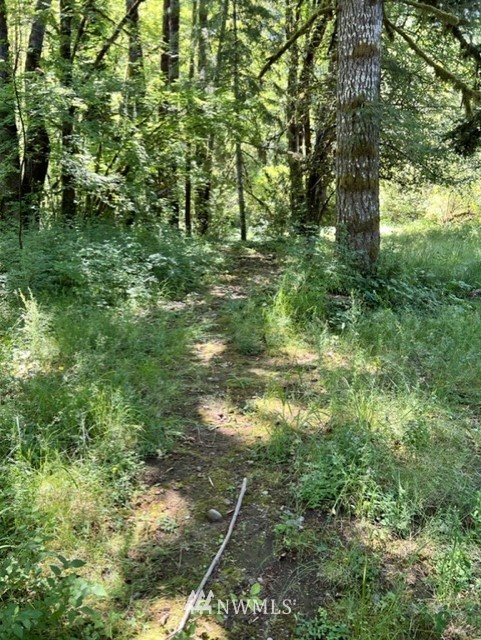 14836 Lewis River Road Ariel, WA 98603 - Photo 13 of 16 Gallery Image 13