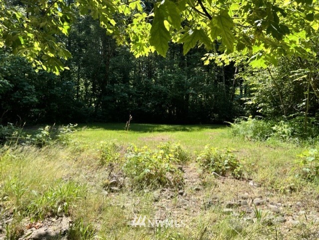 14836 Lewis River Road Ariel, WA 98603 - Photo 15 of 16 Gallery Image 15