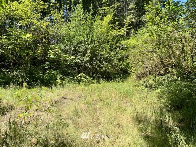 14836 Lewis River Road Ariel, WA 98603 - Photo 16 of 16 Gallery Image 16