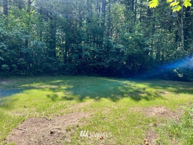 14836 Lewis River Road Ariel, WA 98603 - Photo 3 of 16 Gallery Image 3