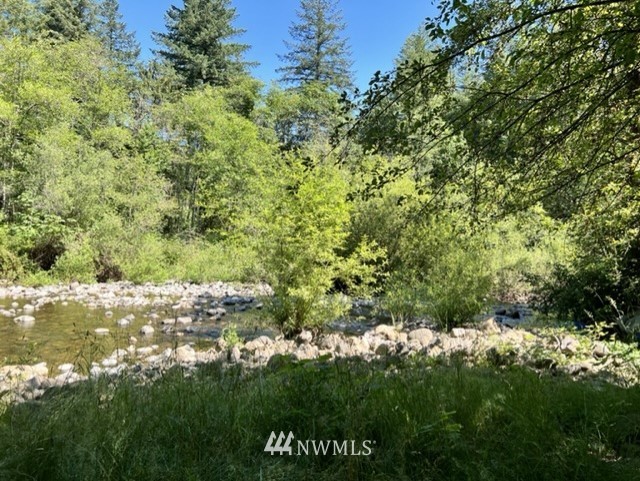 14836 Lewis River Road Ariel, WA 98603 - Photo 6 of 16 Gallery Image 6