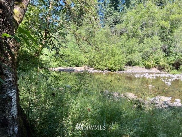 14836 Lewis River Road Ariel, WA 98603 - Photo 7 of 16 Gallery Image 7