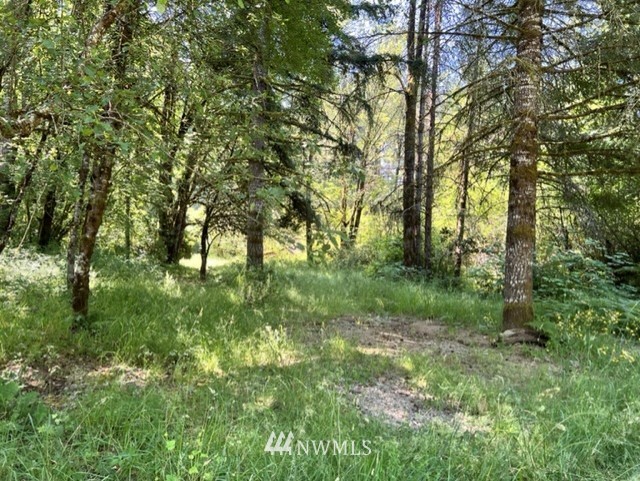 14836 Lewis River Road Ariel, WA 98603 - Photo 10 of 16 Gallery Image 10