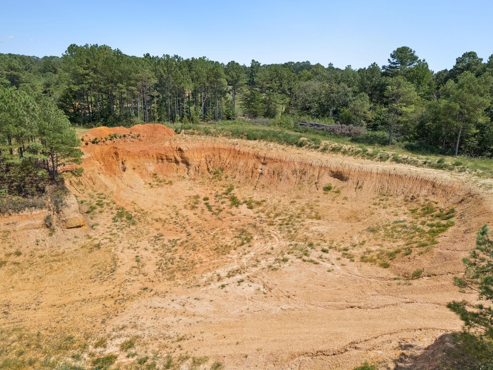 410 Gladden Road Counce, TN 38326 - Photo 12 of 25 a view of a yard with mountain