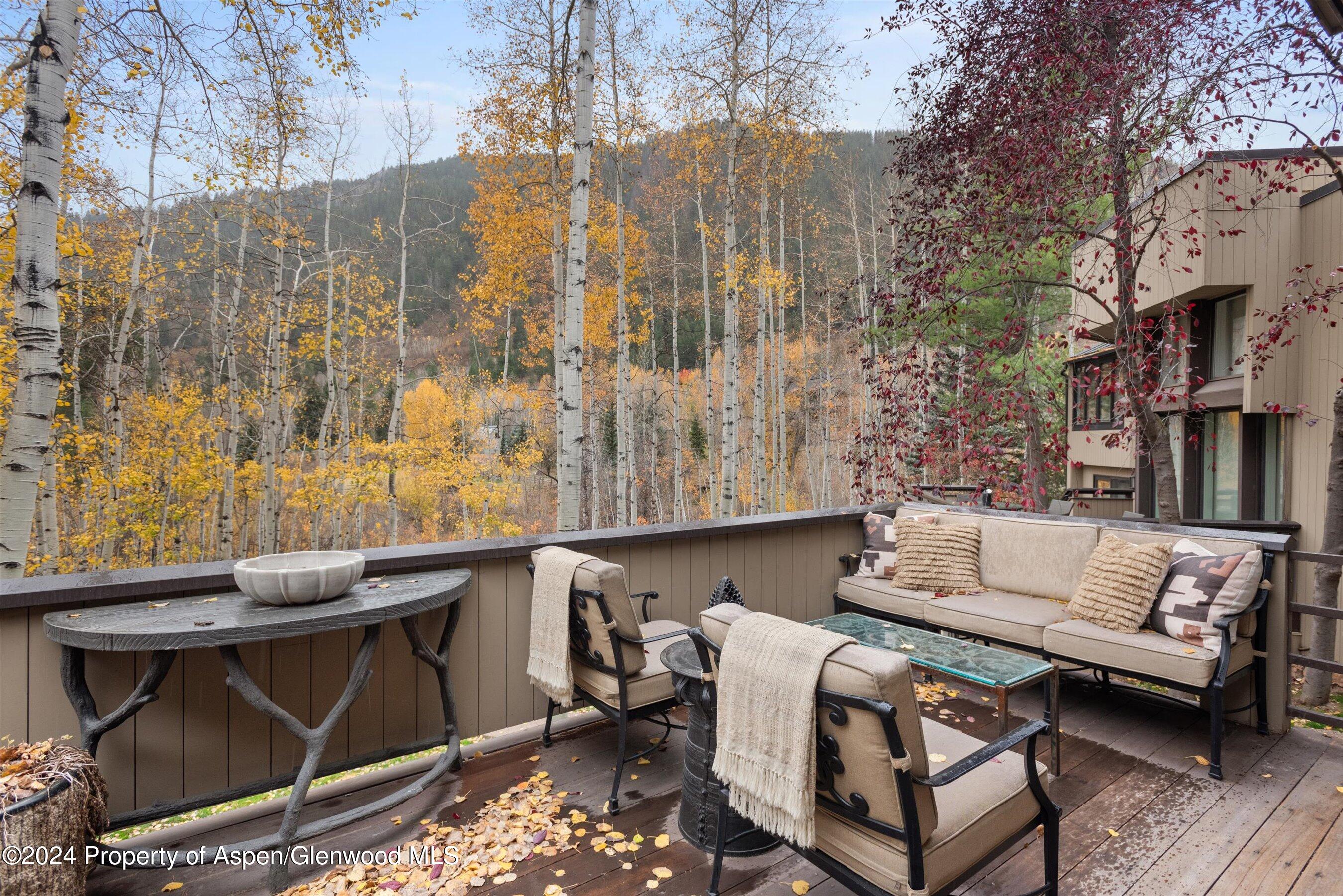 1439 Crystal Lake Road Aspen, CO 81611 - Photo 19 of 34 a view of a patio with couches table and chairs with wooden floor