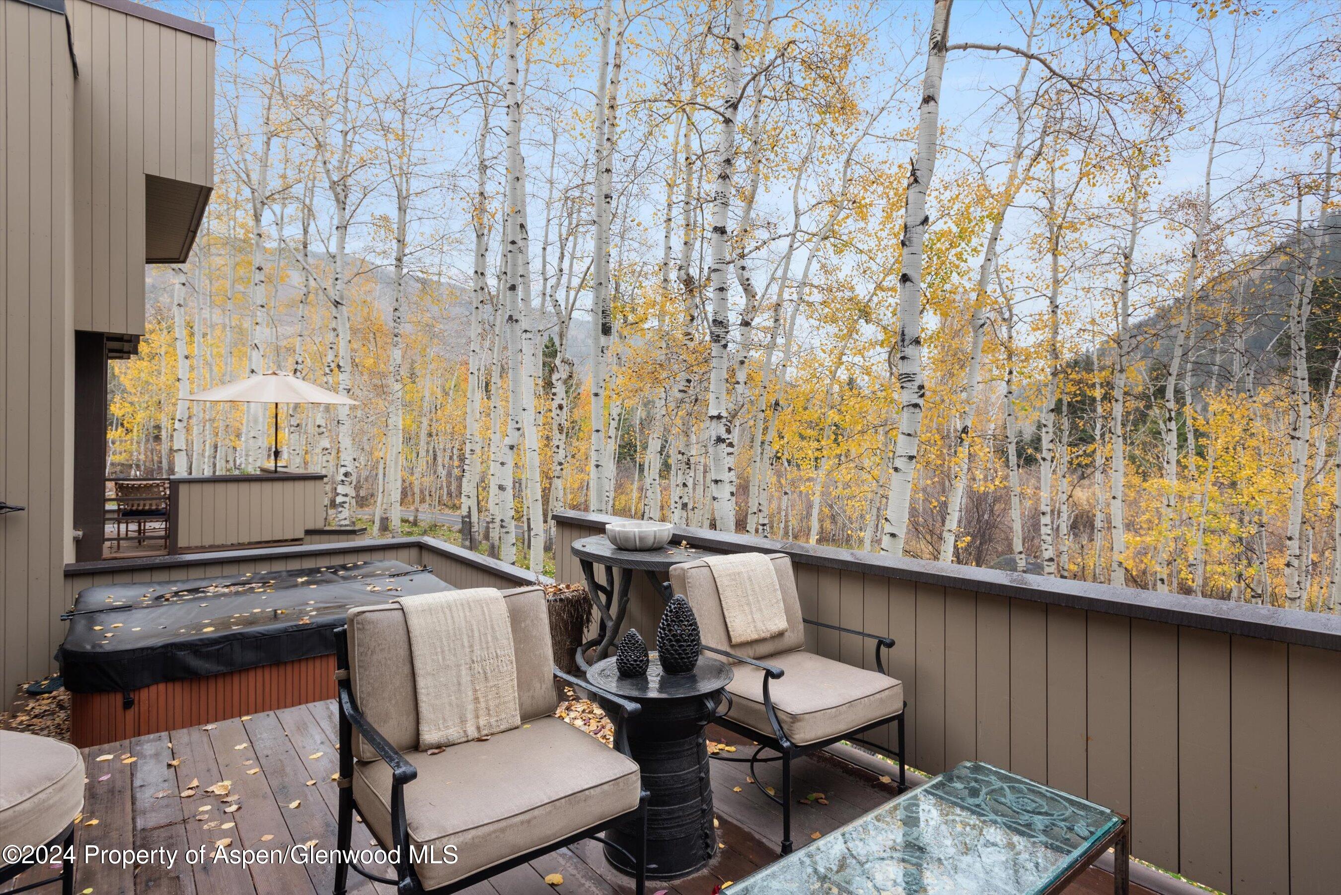1439 Crystal Lake Road Aspen, CO 81611 - Photo 20 of 34 a living room with furniture and a window