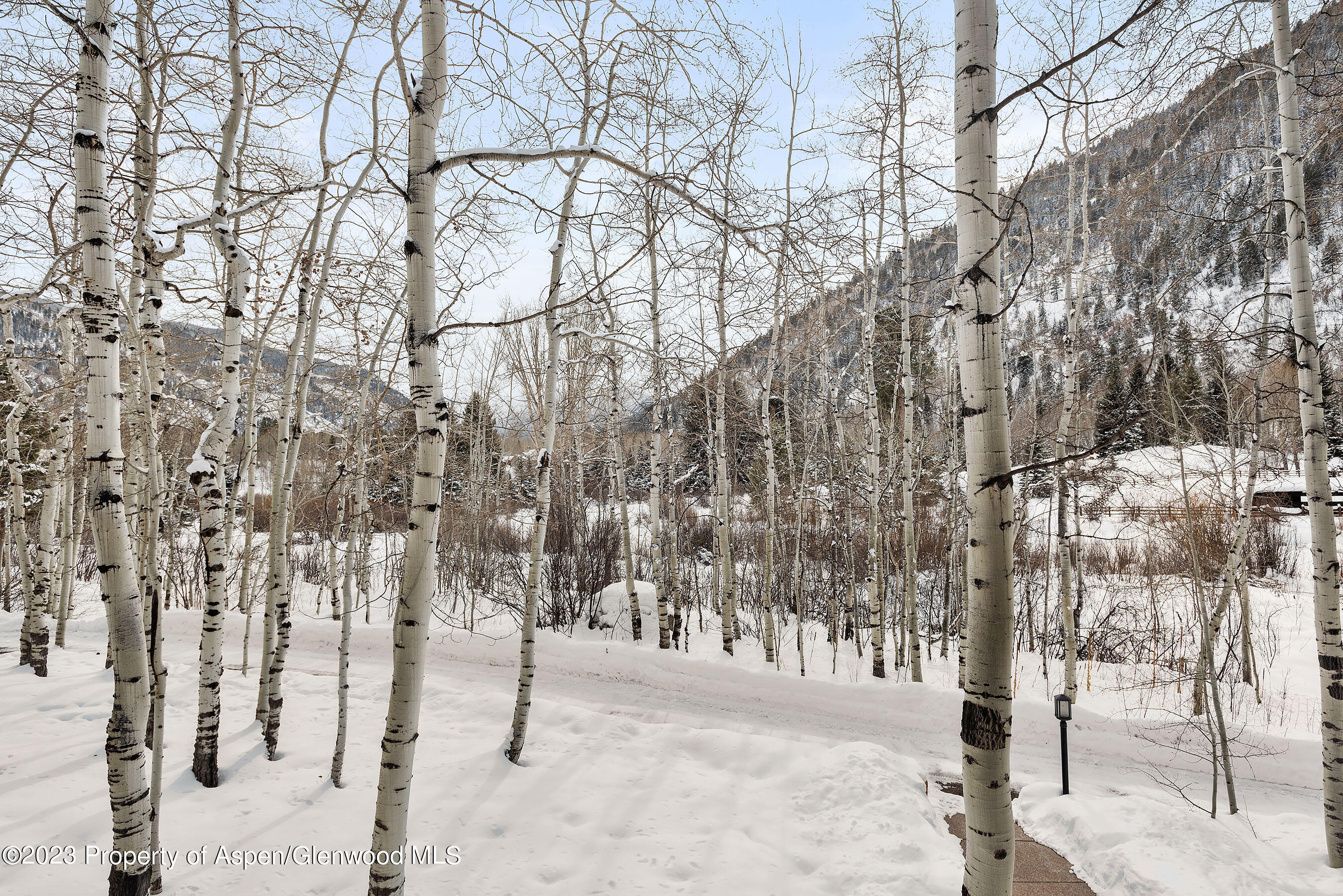 1439 Crystal Lake Road Aspen, CO 81611 - Photo 28 of 34 a picture of trees