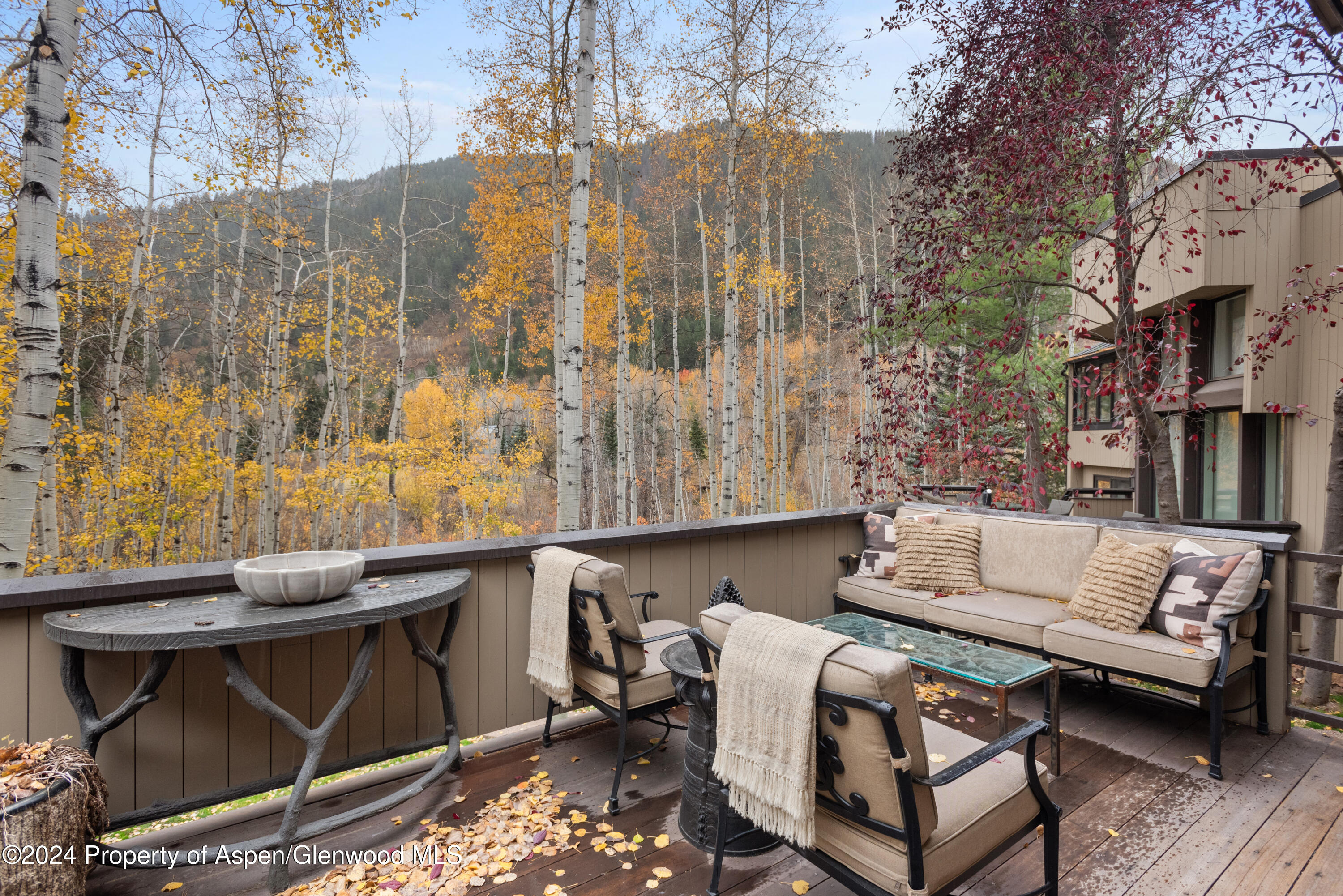 1439 Crystal Lake Road Aspen, CO 81611 - Photo 32 of 34 a view of a patio with couches table and chairs with wooden floor