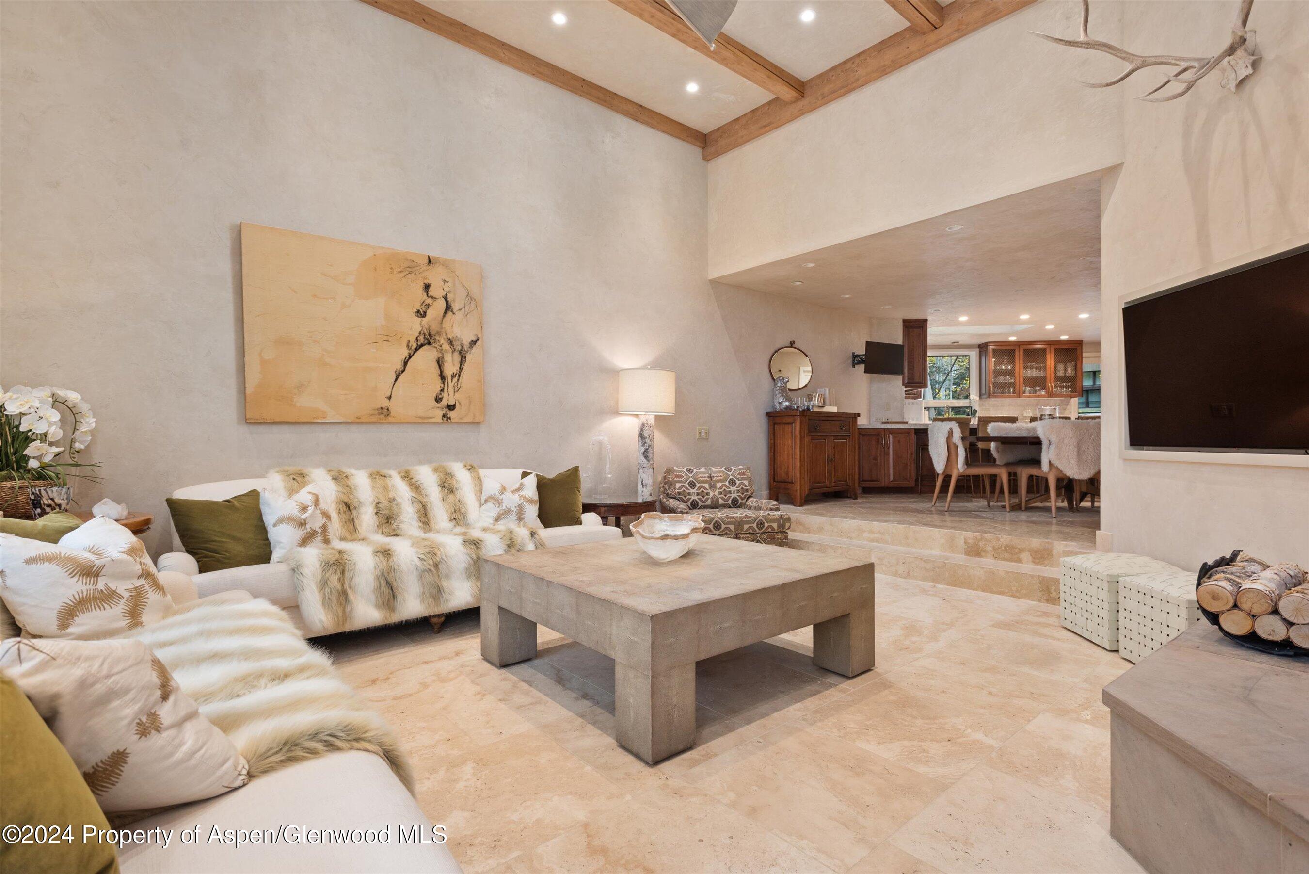 1439 Crystal Lake Road Aspen, CO 81611 - Photo 5 of 34 a living room with furniture and a flat screen tv