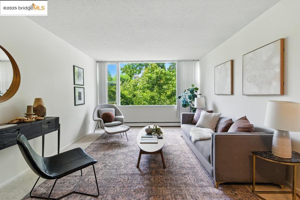 2601 College Avenue, Unit 203 Berkeley, CA 94704 - Photo 3 of 38 Living room featuring a textured ceiling, carpet floors, and a baseboard heating unit