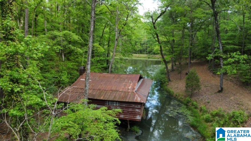 7307 County Road 31 Lineville, AL 36266 - Photo 12 of 30
