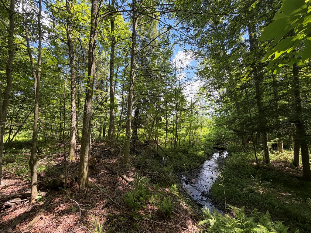 0 Stockton Road Cassadaga, NY 14718 - Photo 13 of 23