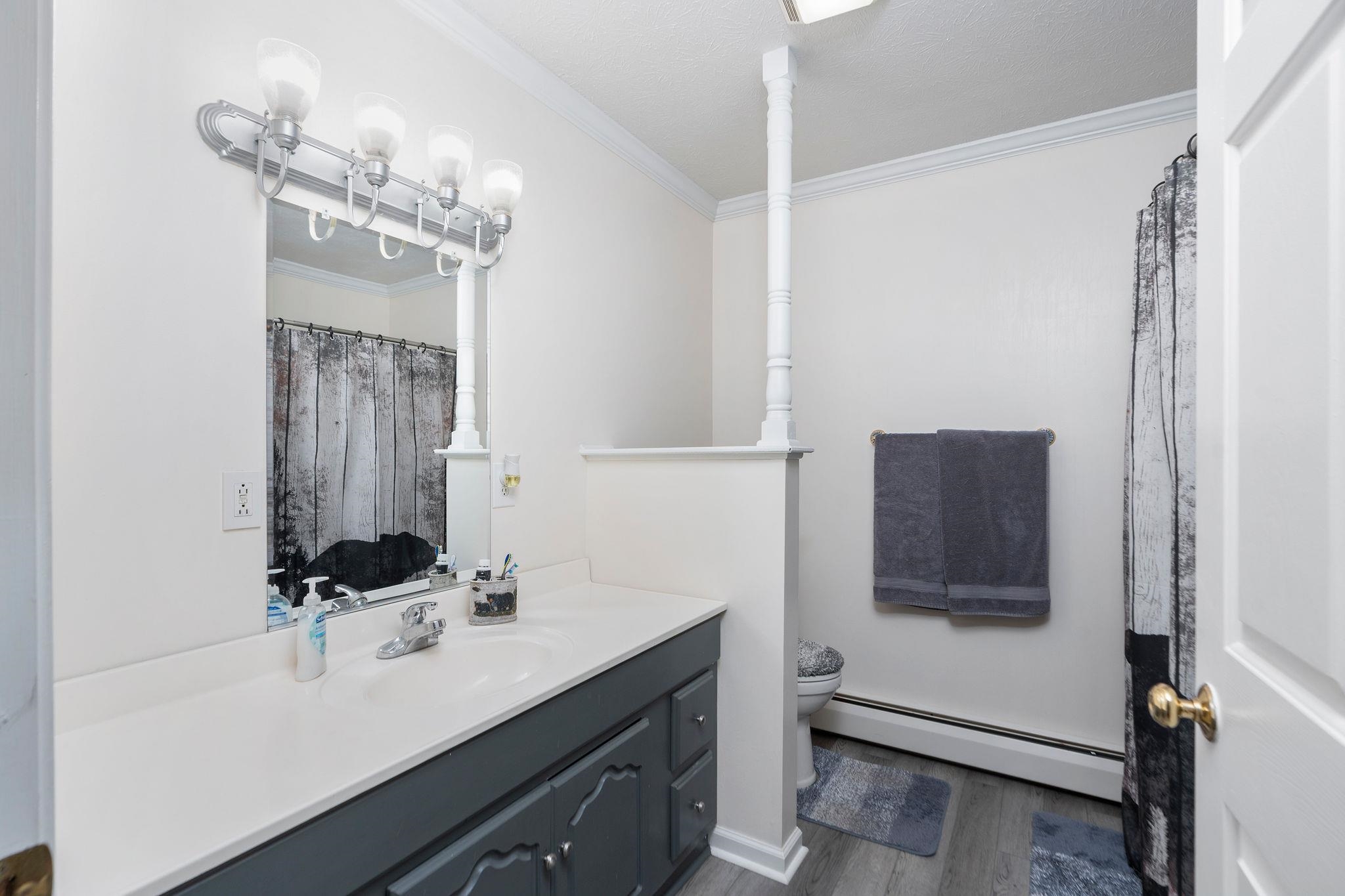 887 Bright Hollow Road Deerfield, VA 24432 - Photo 20 of 73 a bathroom with a sink a mirror and a shower