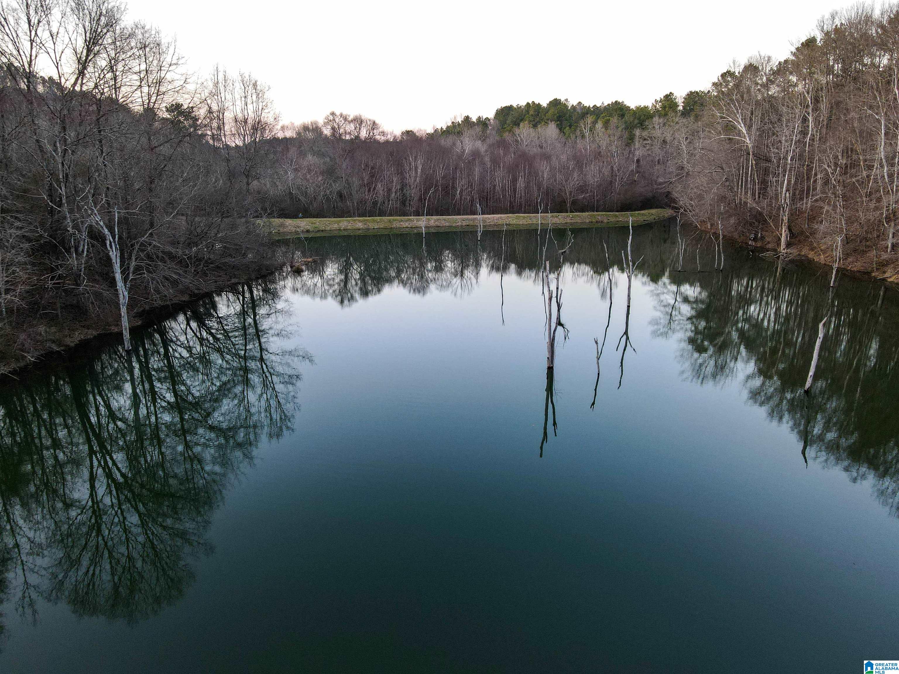 1 Hull Road, Unit 1 Sumiton, AL 35148 - Photo 3 of 55 Gallery Image 3