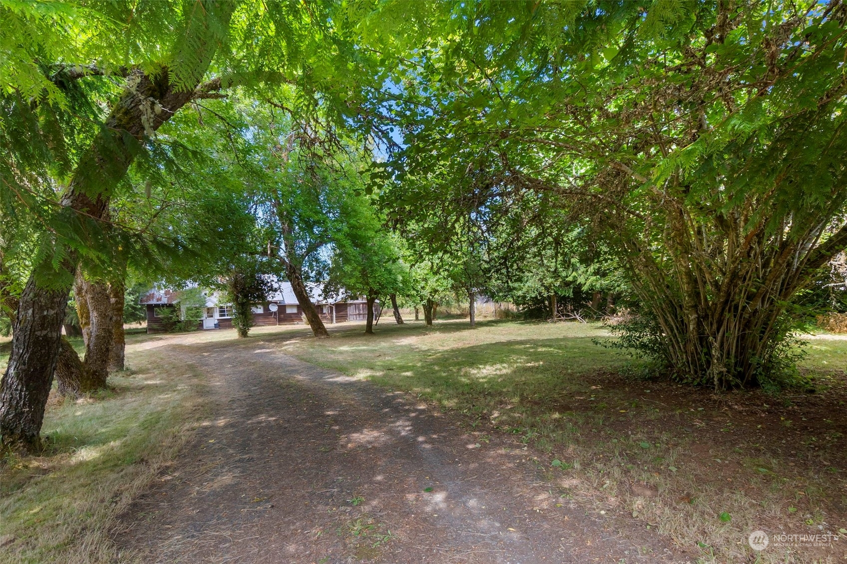 11 Hanen Road Raymond, WA 98577 - Photo 2 of 36 Gallery Image 2