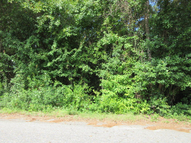 974 Meadowbrook Road Sumter, SC 29153 - Photo 5 of 9 Photo 6