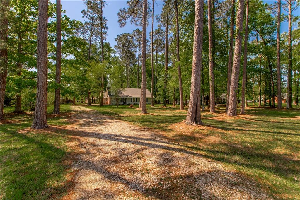 11108 Ragan Lane Ponchatoula, LA 70454 - Photo 4 of 32 Gallery Image 4