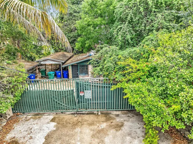 a view of a garden with a tree