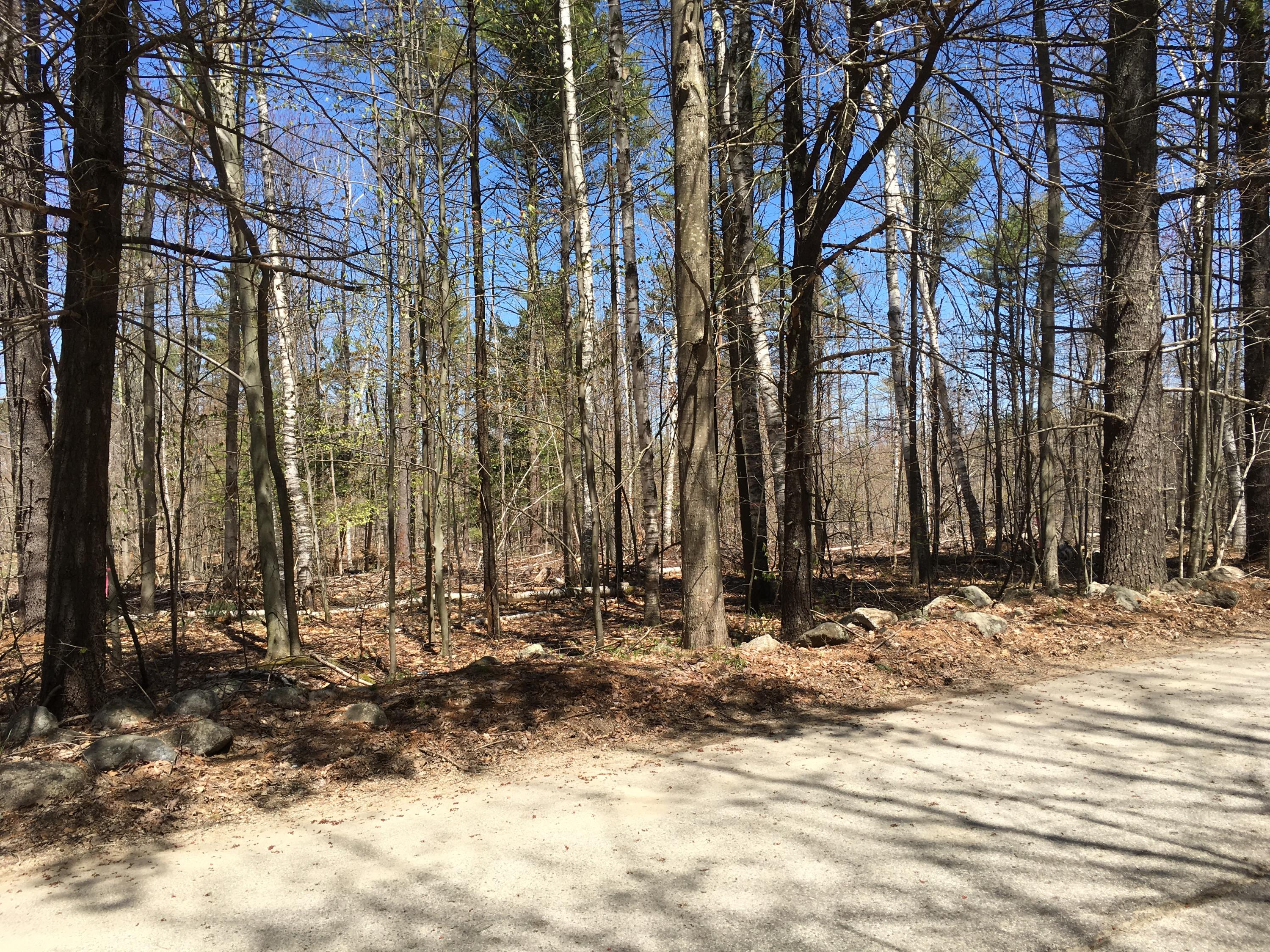 46-acres Acton Ridge Road Acton, ME 04001 - Photo 8 of 12 3CAD9FD8-5660-4113-843F-A3C63FAB3954