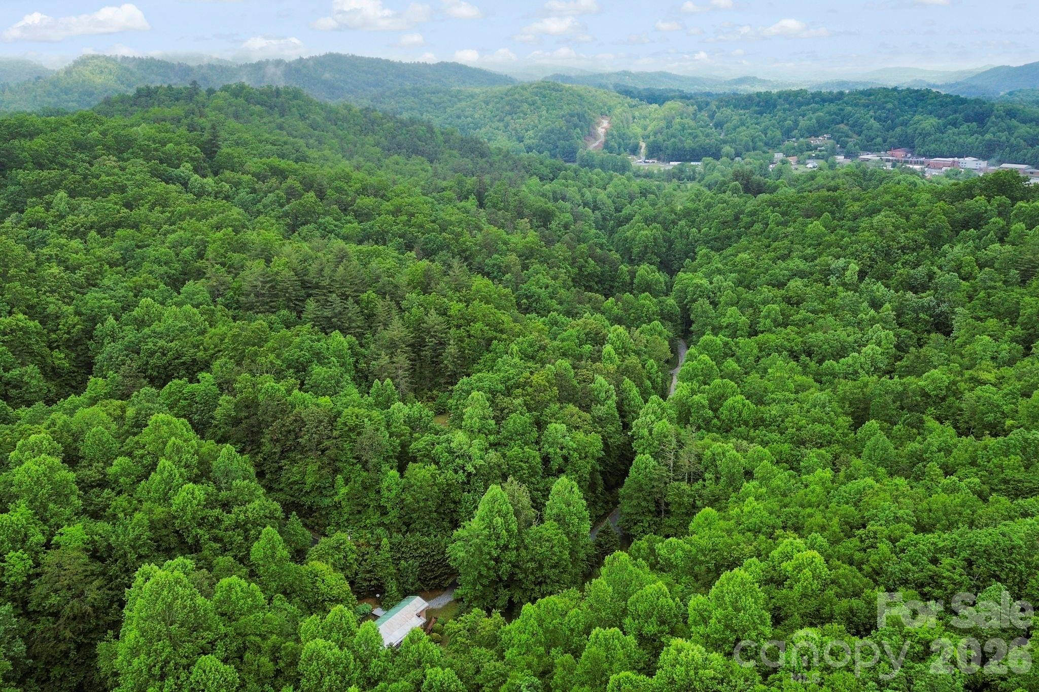 153 South Gray Fox Road, Unit 5 Rosman, NC 28772 - Photo 29 of 33